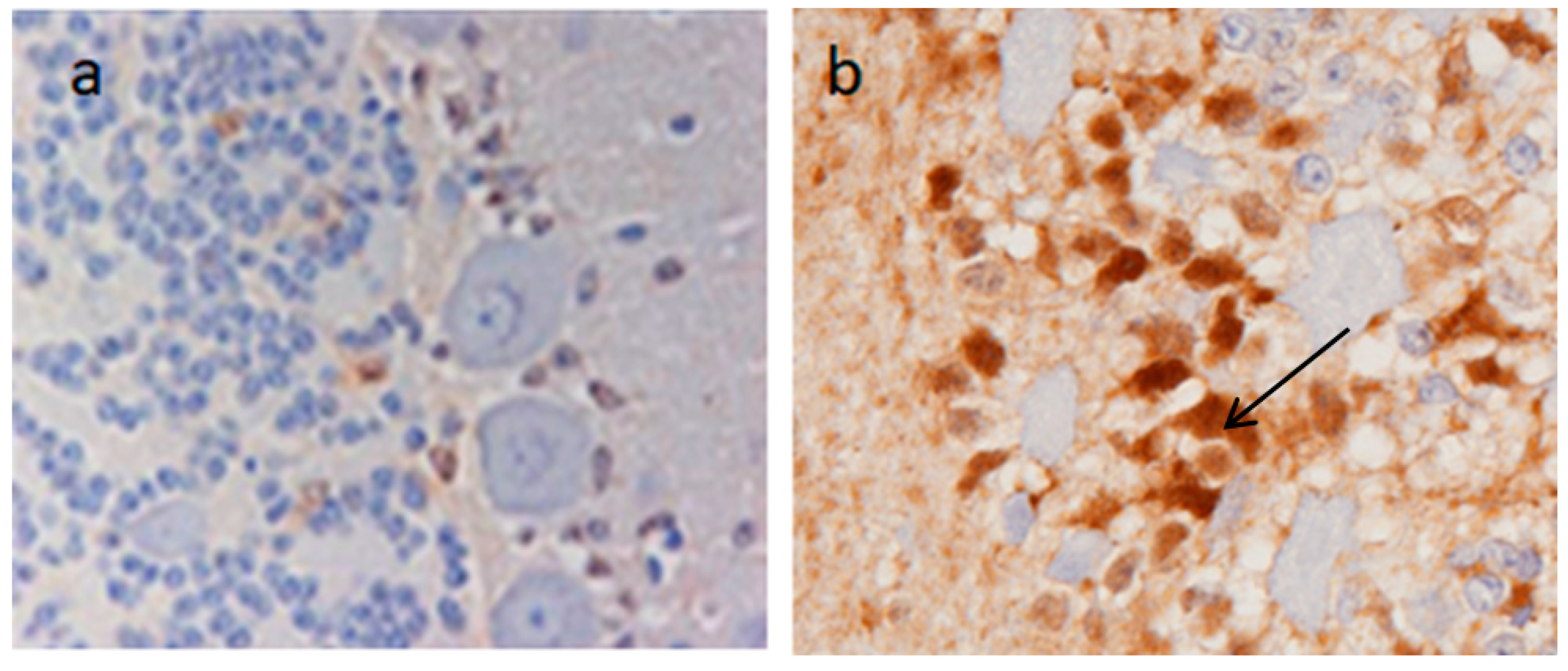 Inorganics 07 00108 g004
