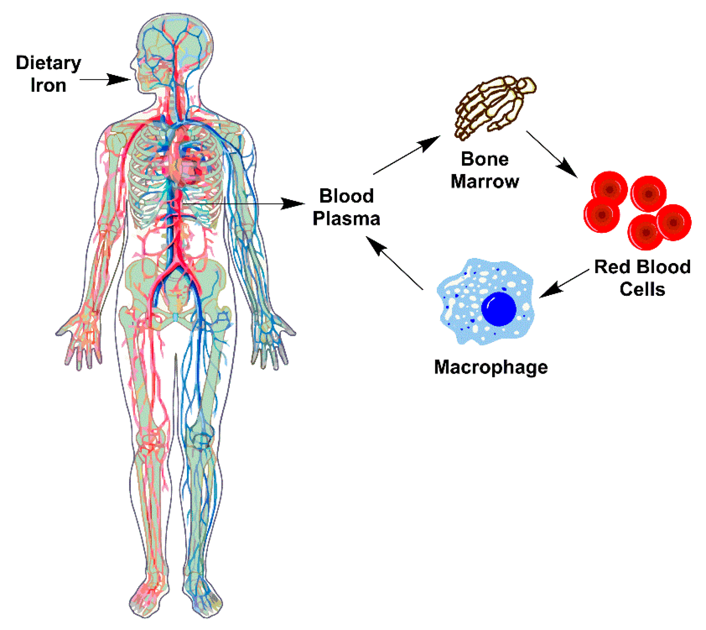 Inorganics 07 00111 g006