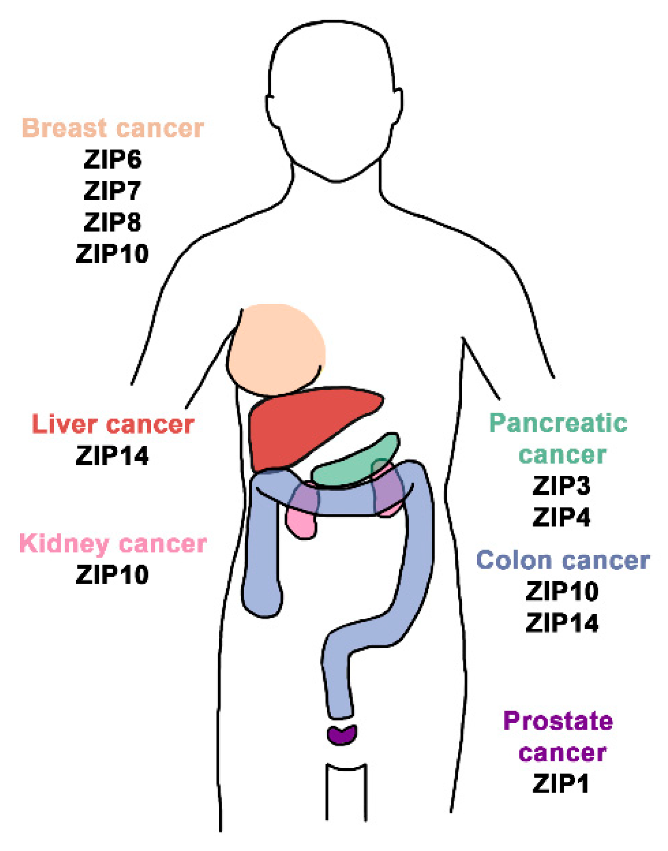 Inorganics 07 00111 g009