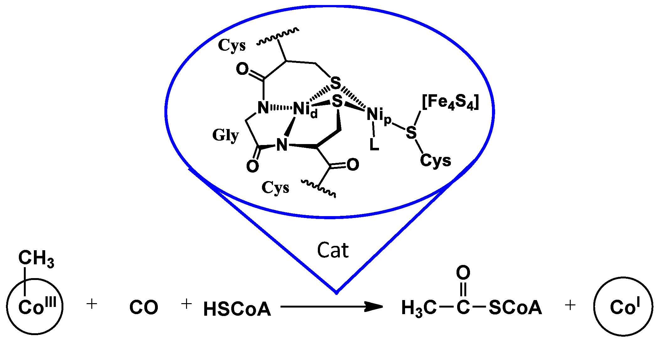 Inorganics 07 00115 g001