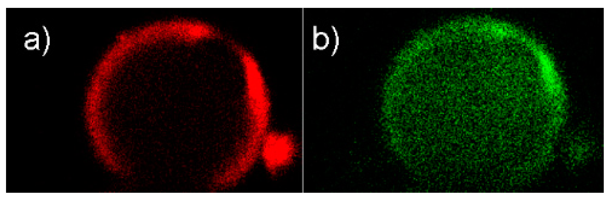 Inorganics 07 00134 g007