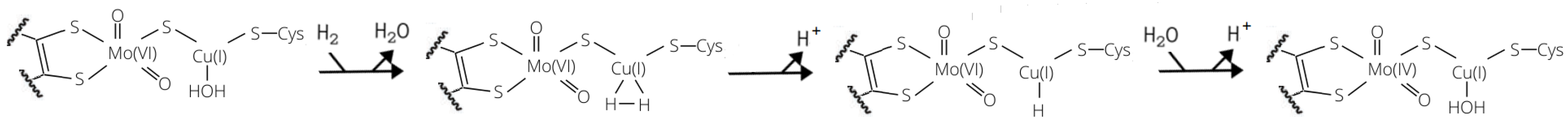 Inorganics 07 00135 g001