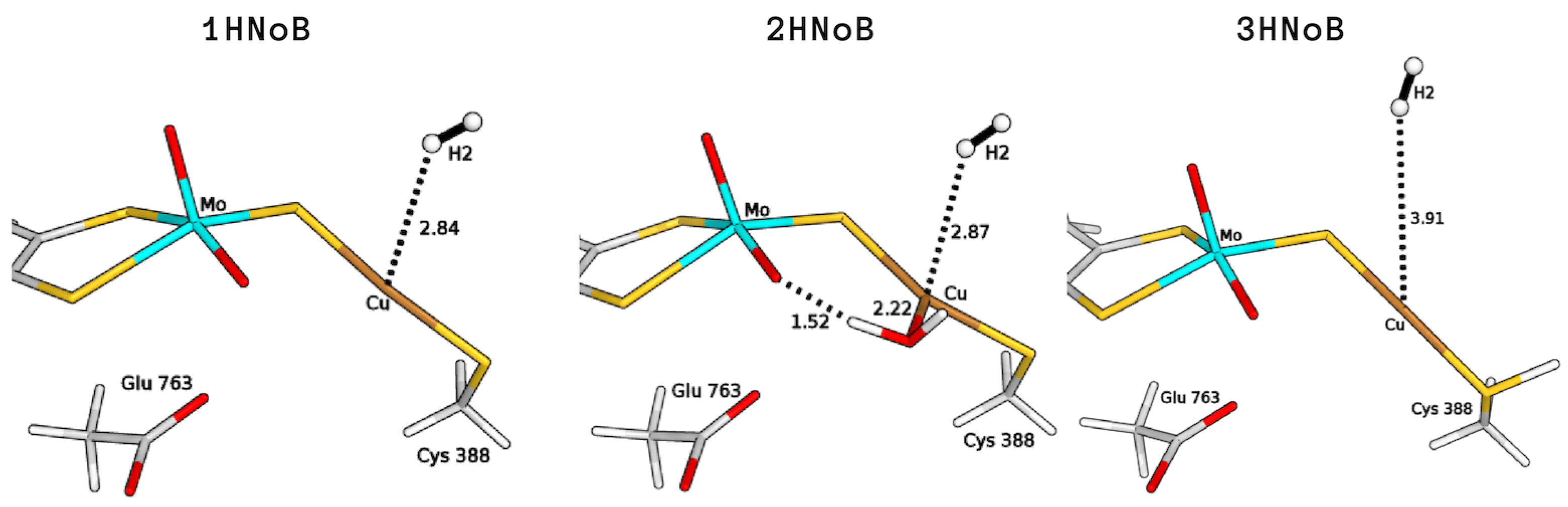 Inorganics 07 00135 g003