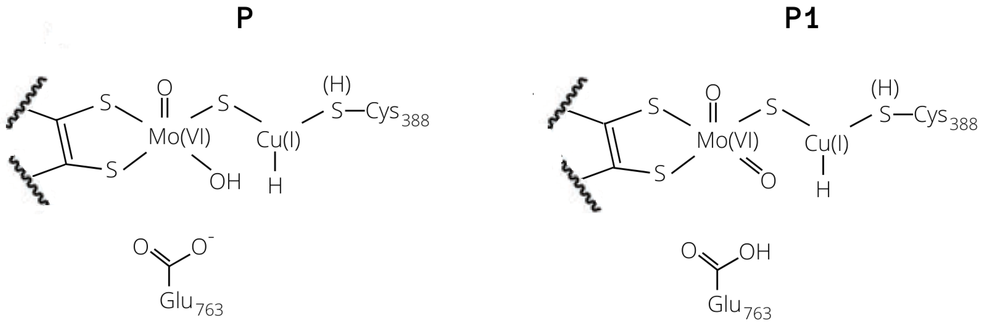 Inorganics 07 00135 g004