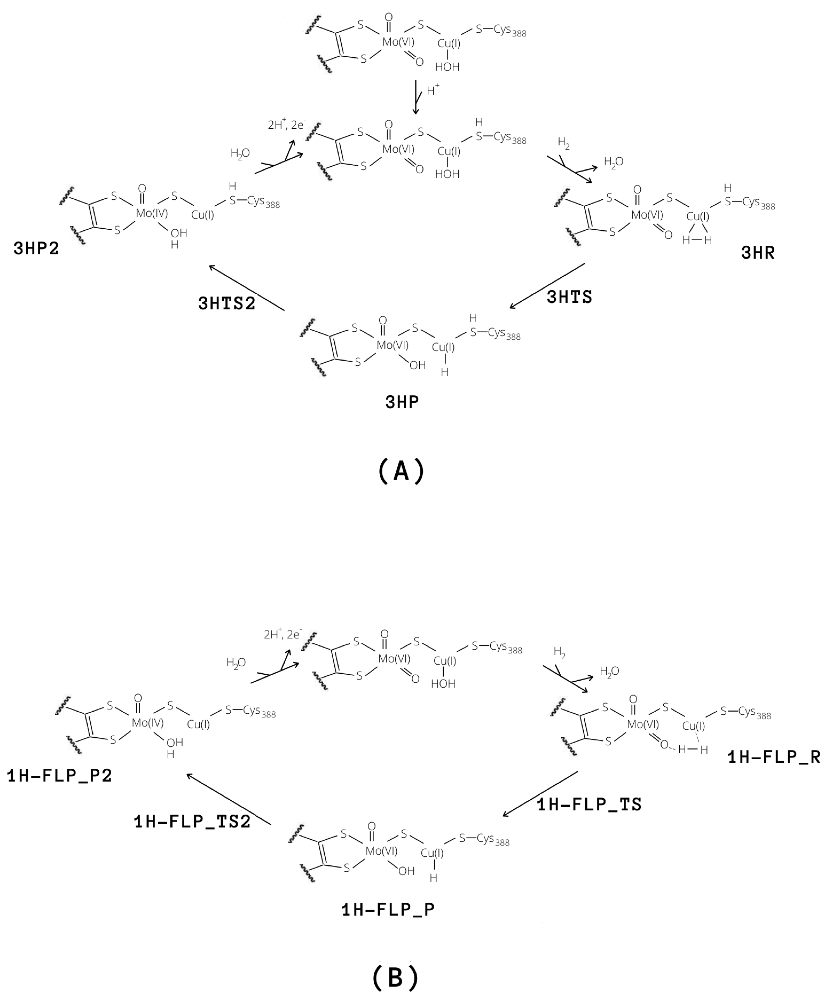 Inorganics 07 00135 g008