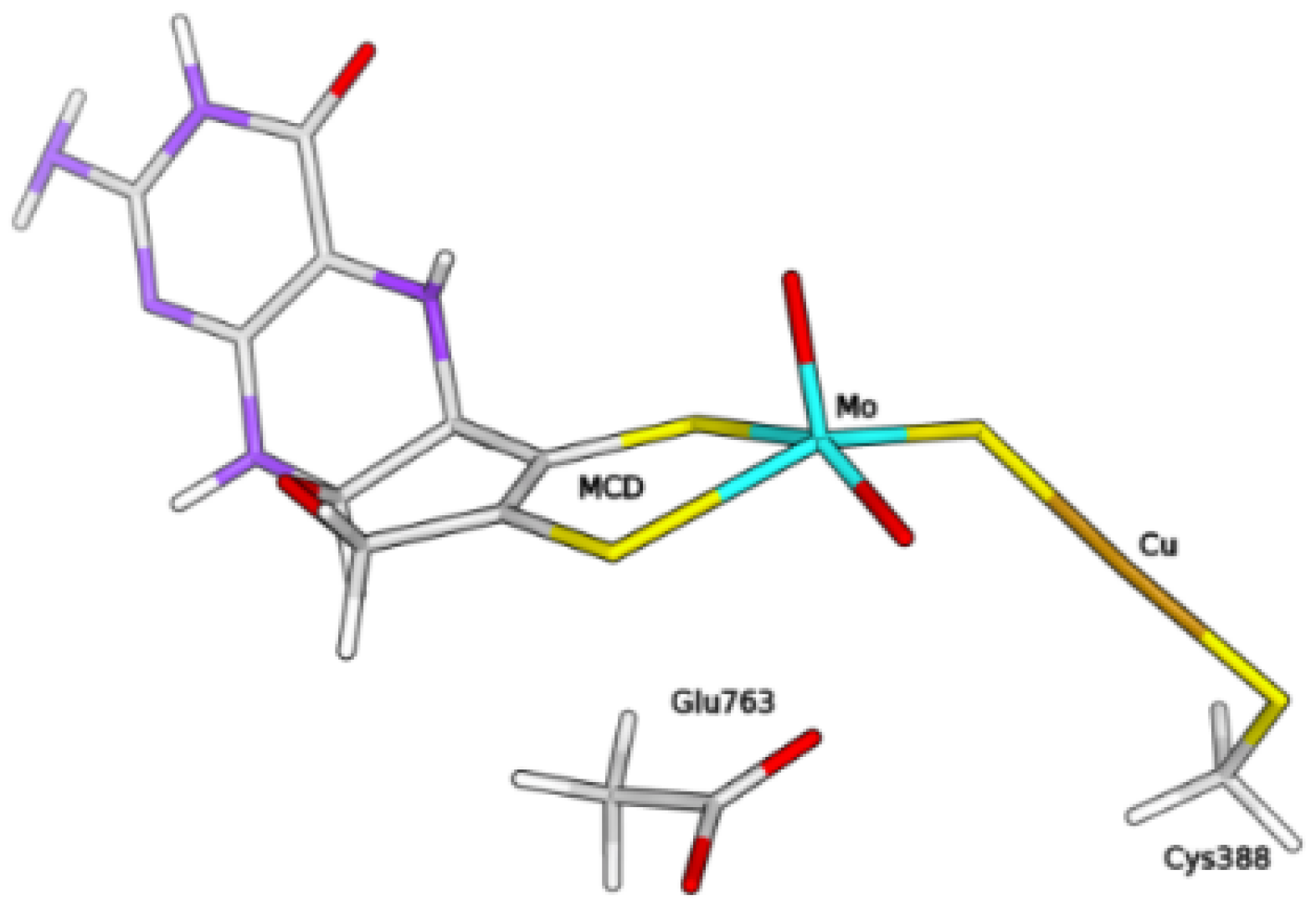 Inorganics 07 00135 g009
