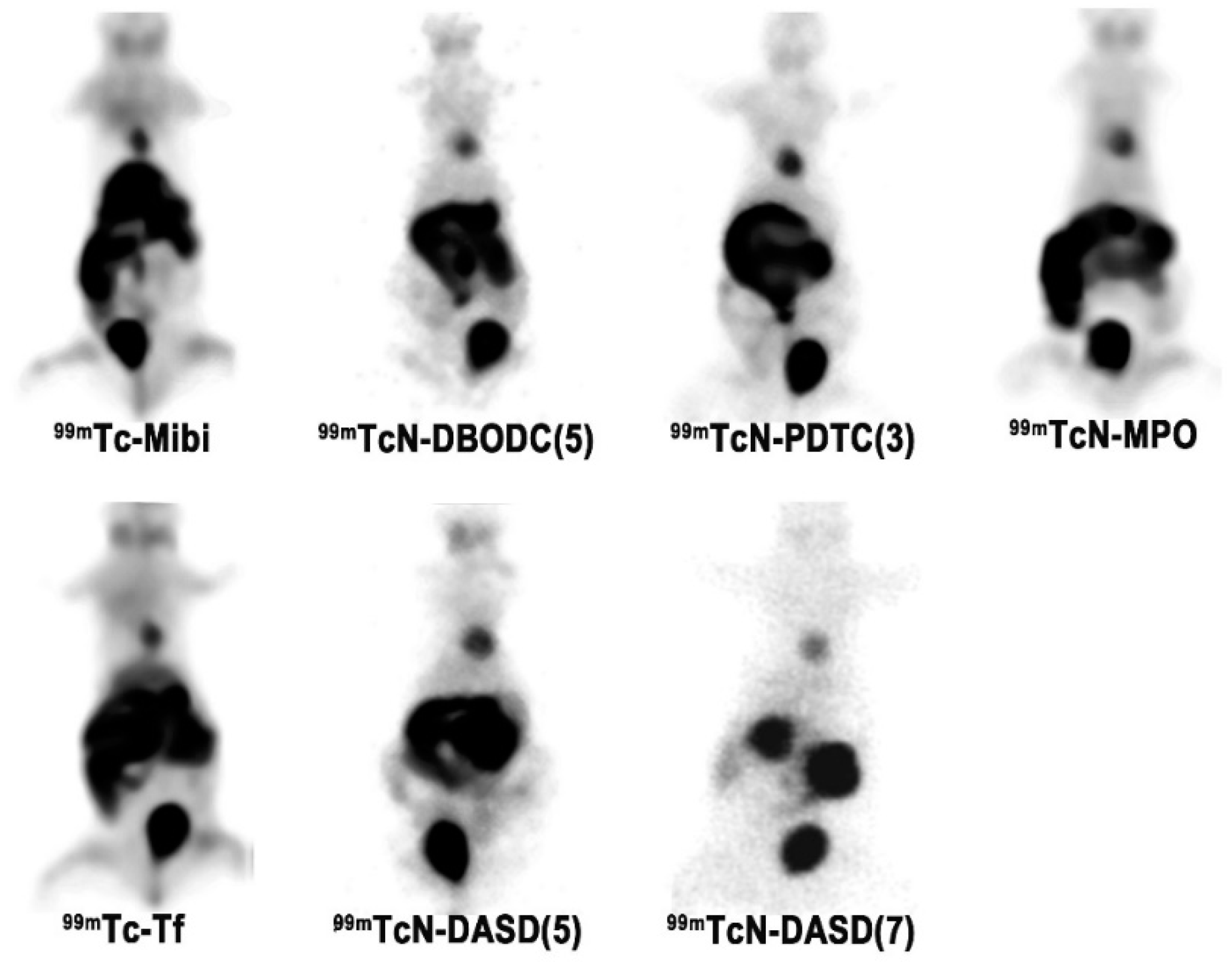 Inorganics 08 00003 g014