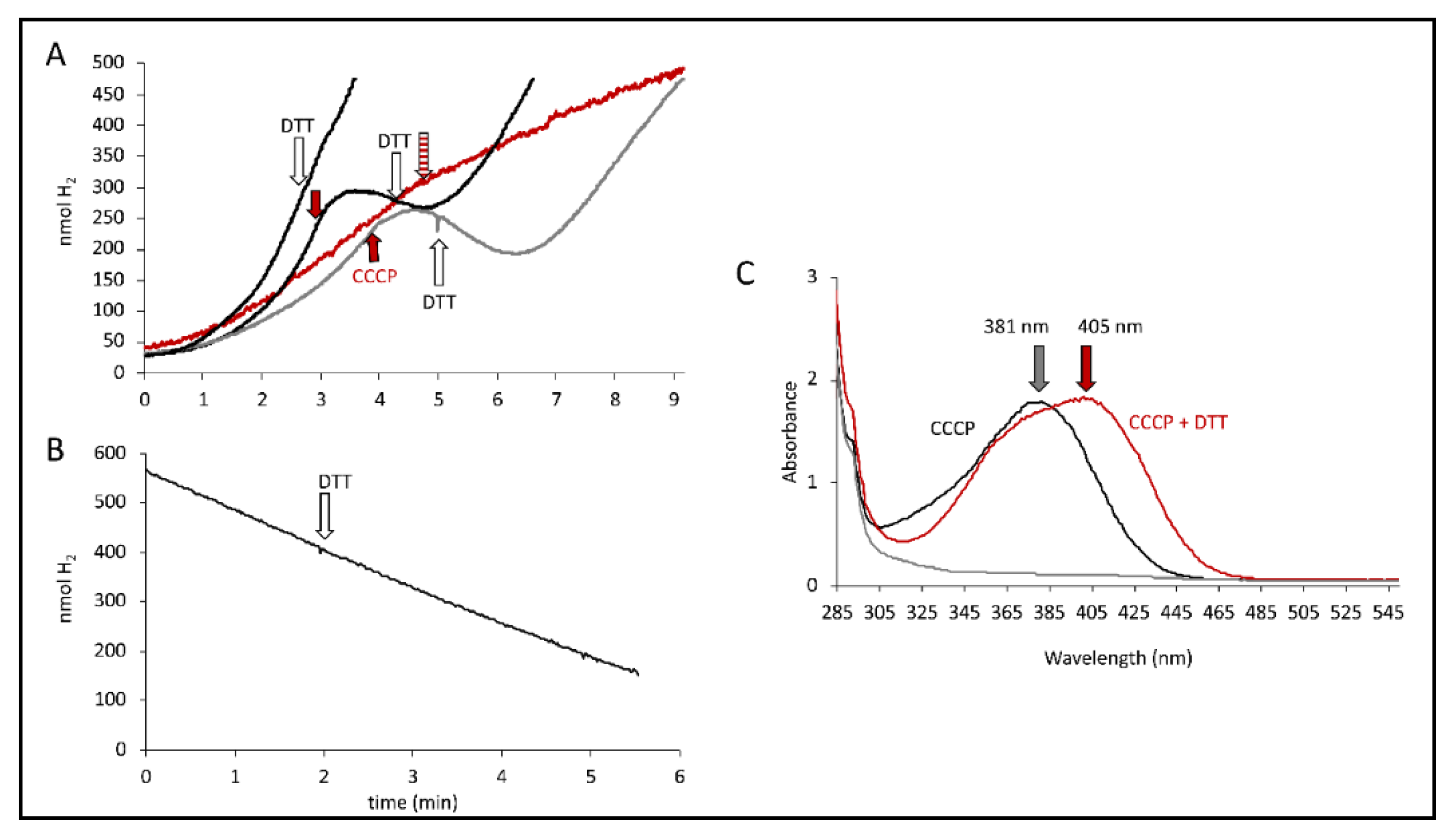 Inorganics 08 00038 g005