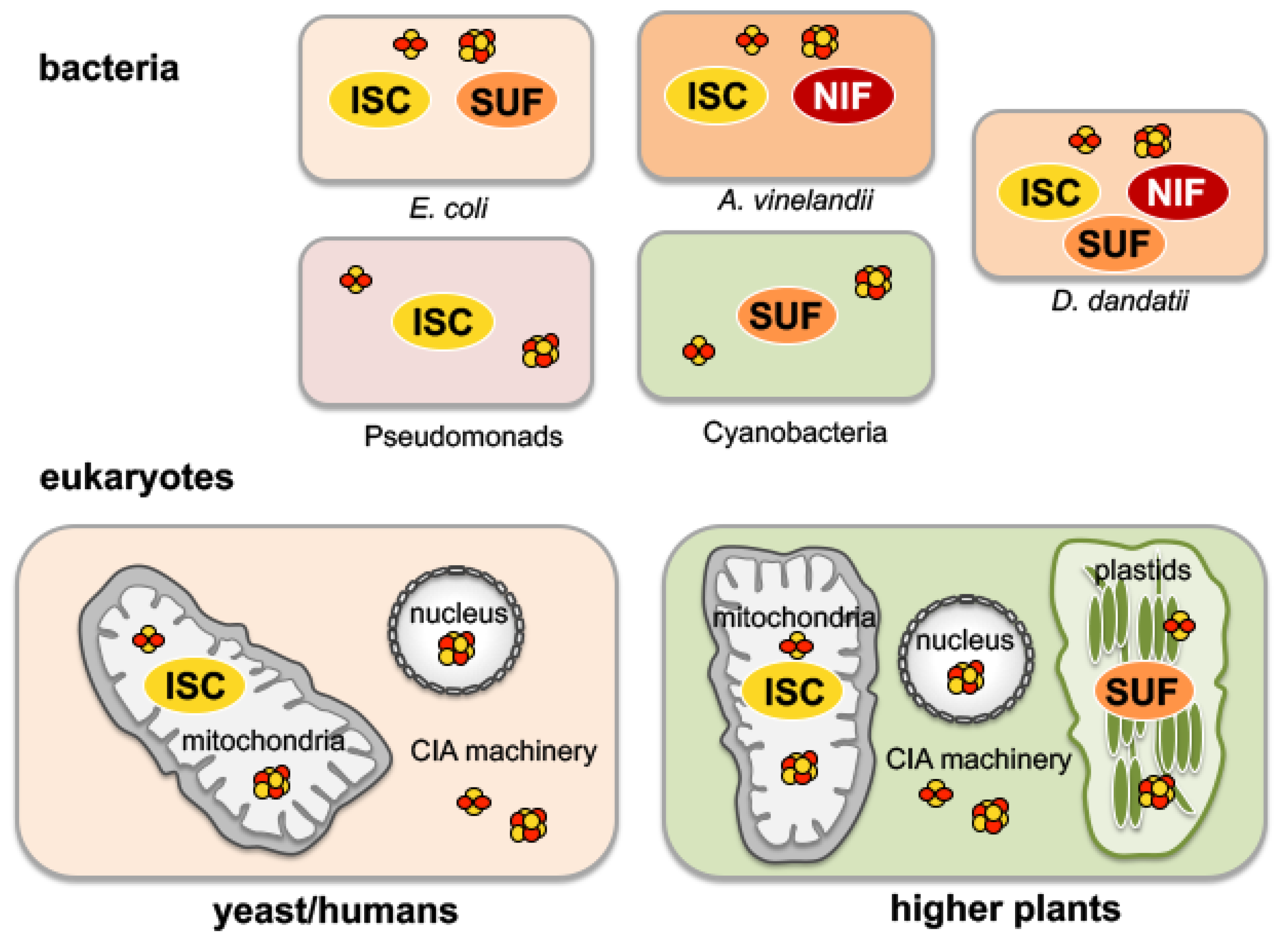 Inorganics 08 00043 g002