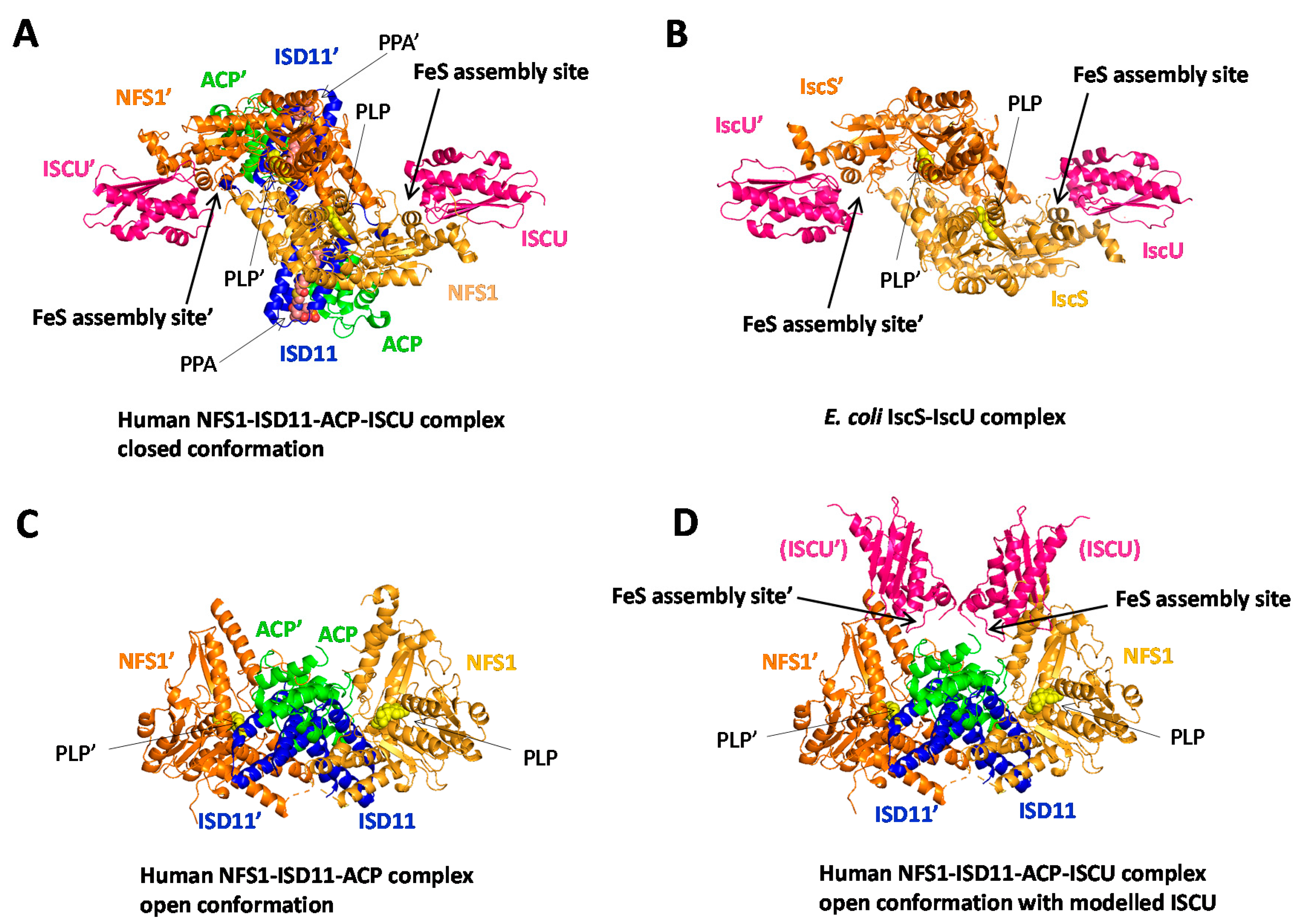 Inorganics 08 00055 g003 Inorganics 08 00055 g003