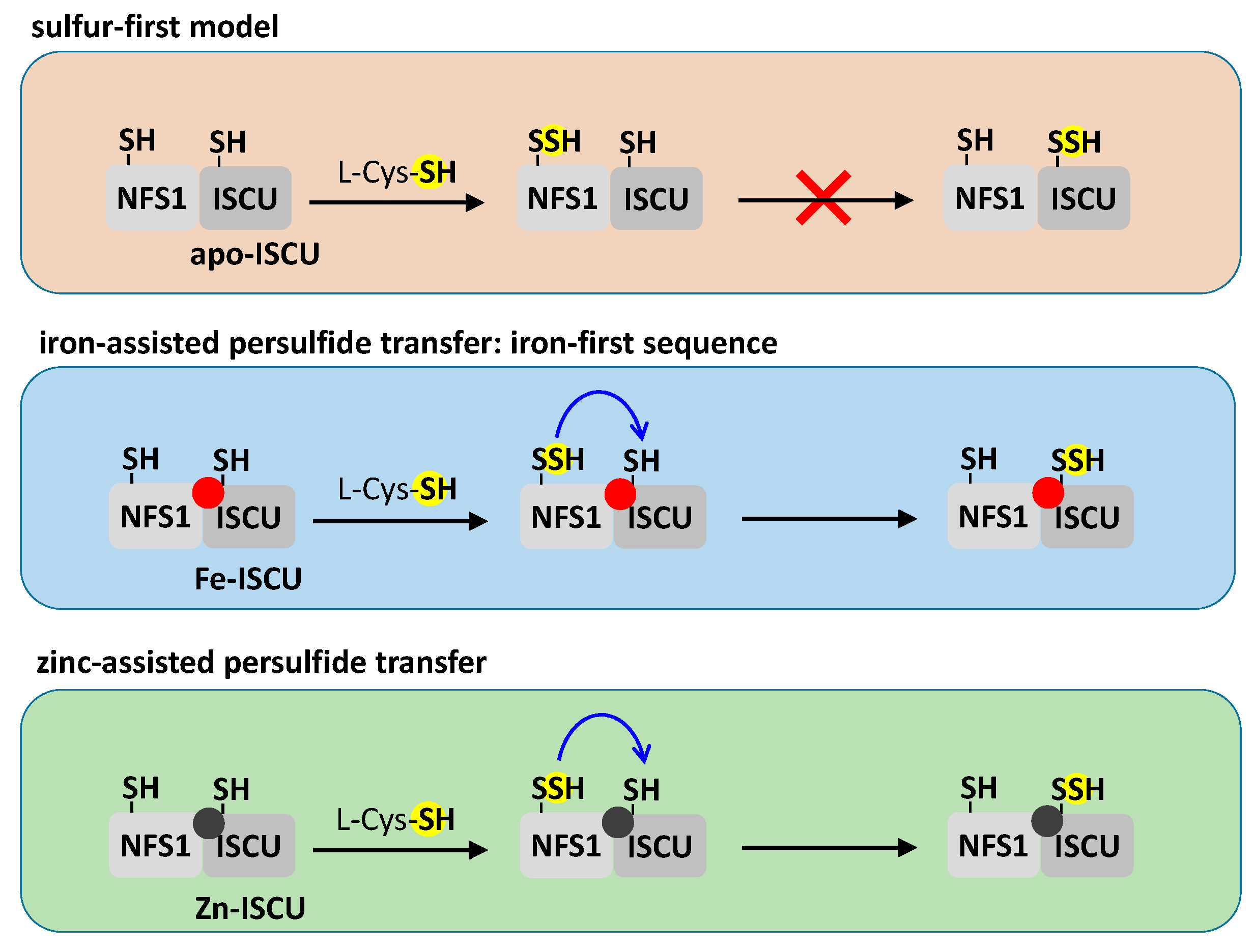 Inorganics 08 00055 g005 Inorganics 08 00055 g005