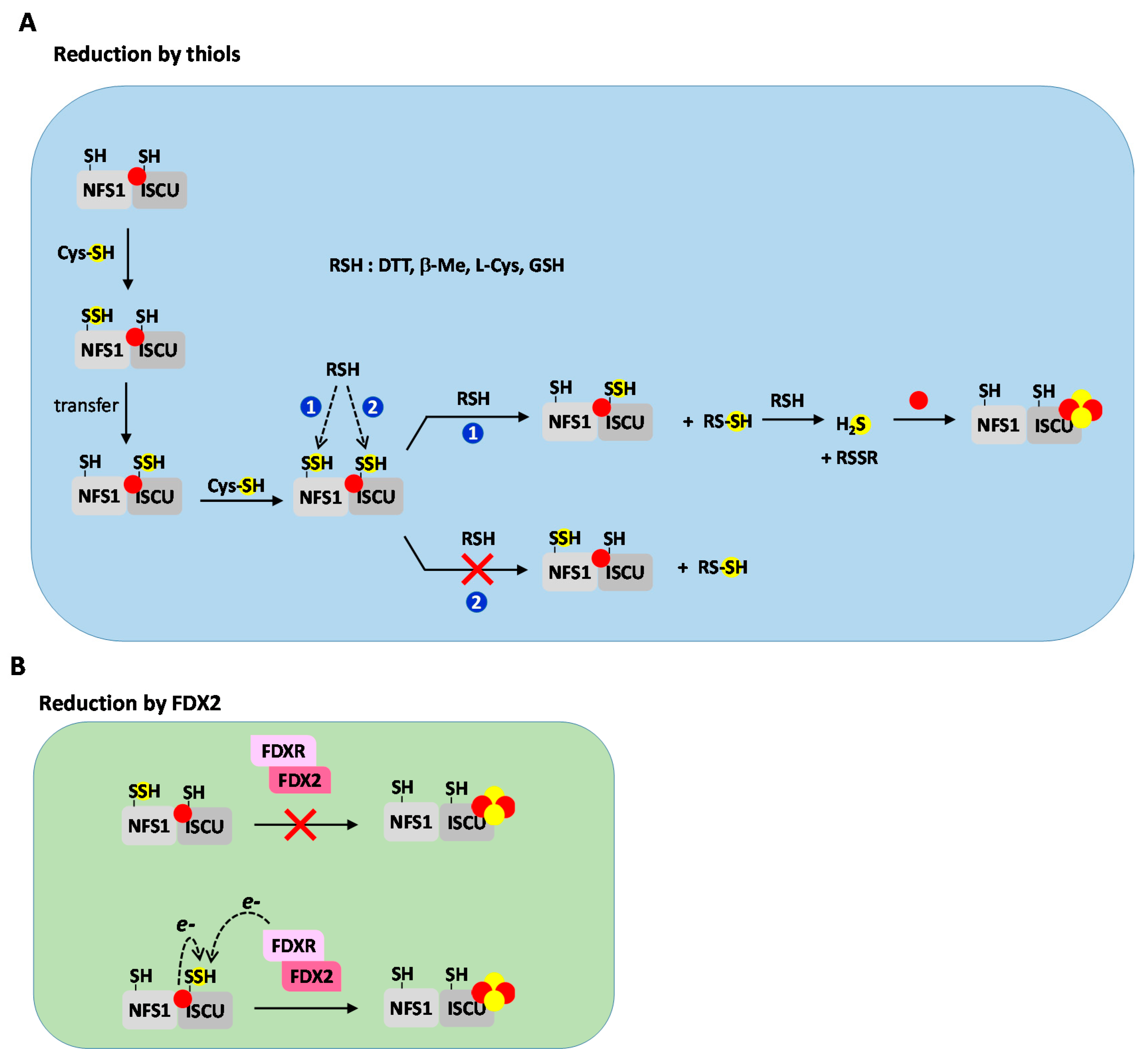 Inorganics 08 00055 g006 Inorganics 08 00055 g006