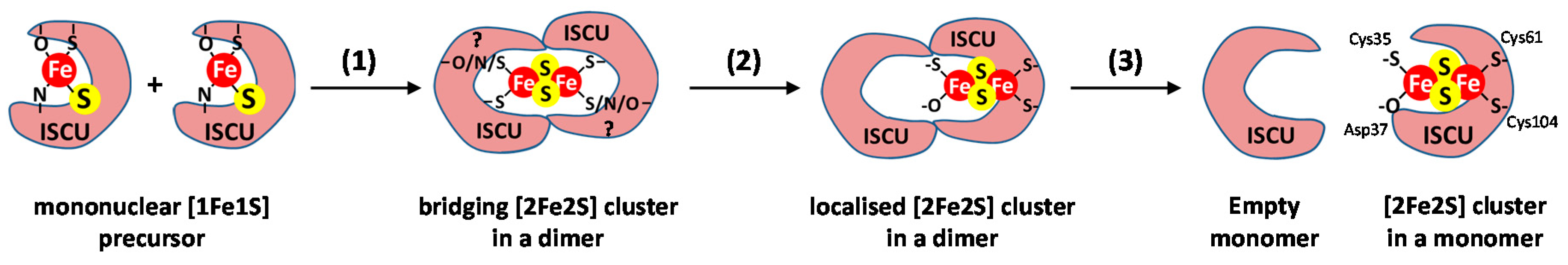 Inorganics 08 00055 g007 Inorganics 08 00055 g007