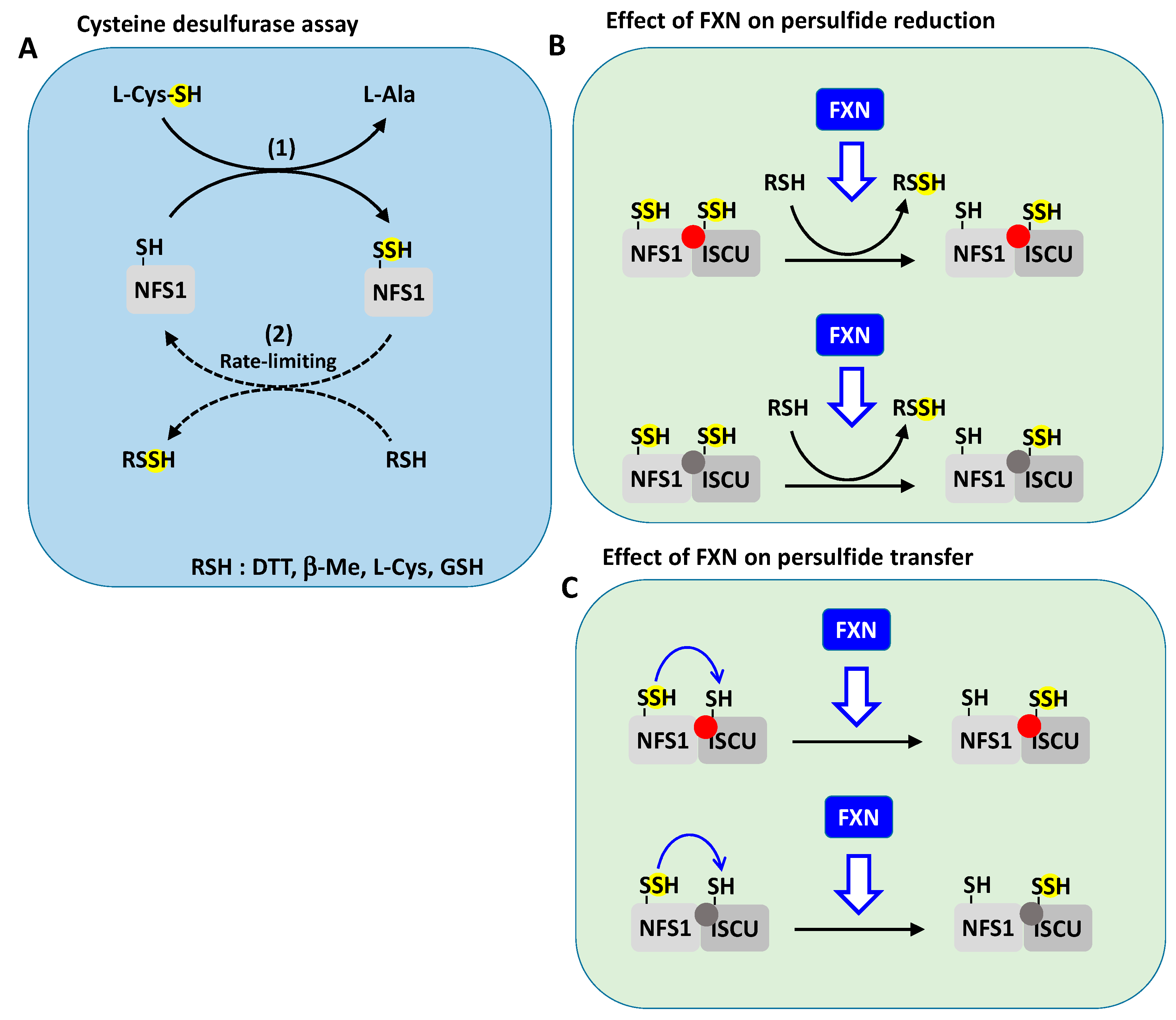 Inorganics 08 00055 g008 Inorganics 08 00055 g008
