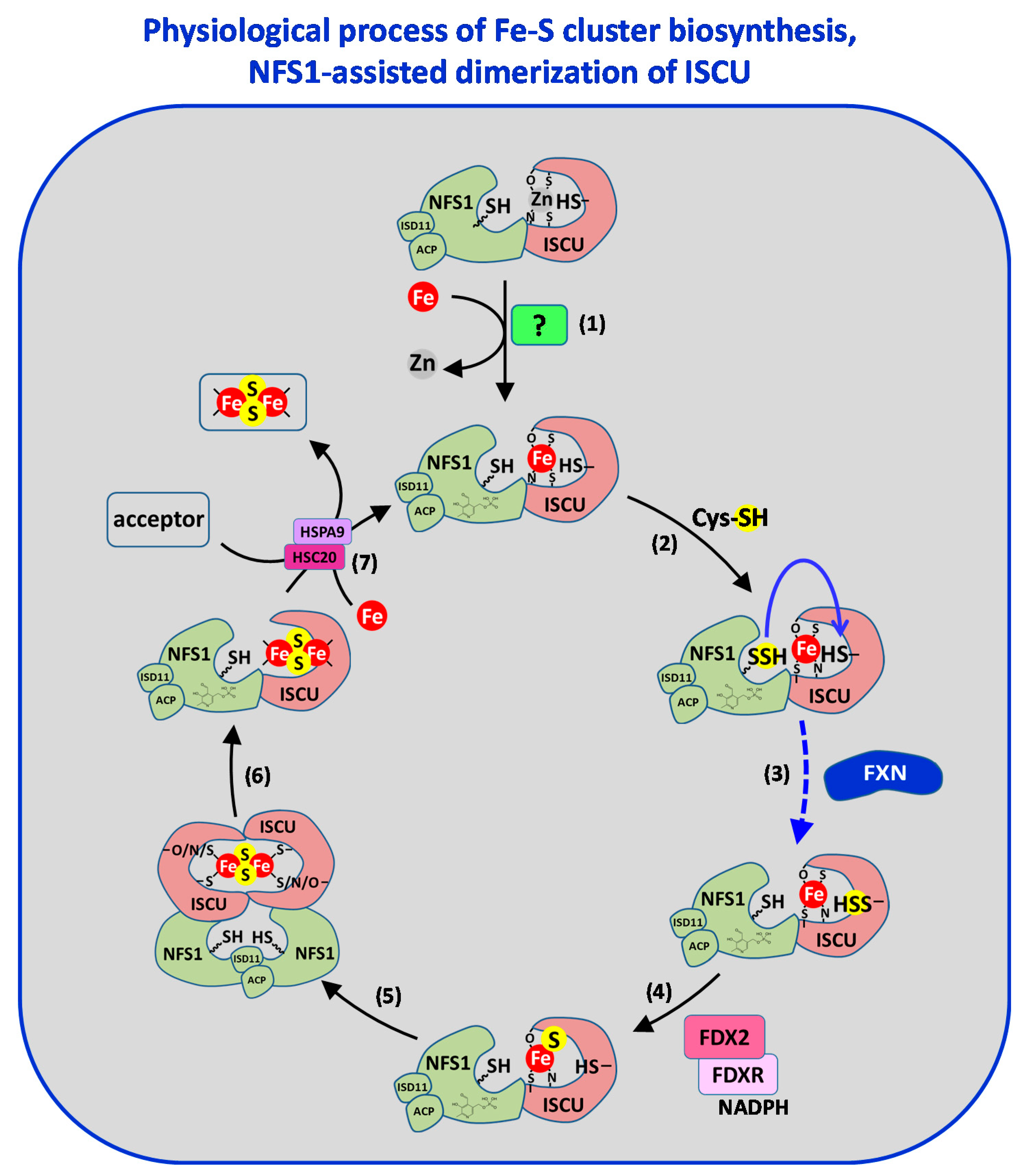 Inorganics 08 00055 g009 Inorganics 08 00055 g009
