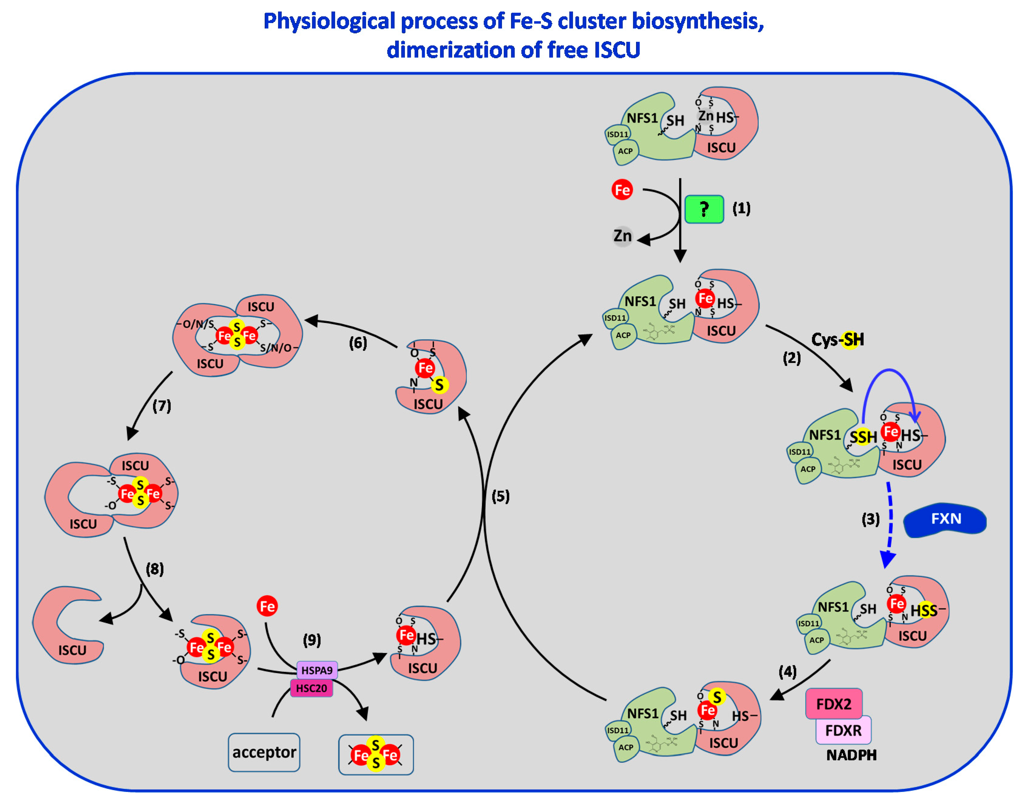 Inorganics 08 00055 g010 Inorganics 08 00055 g010