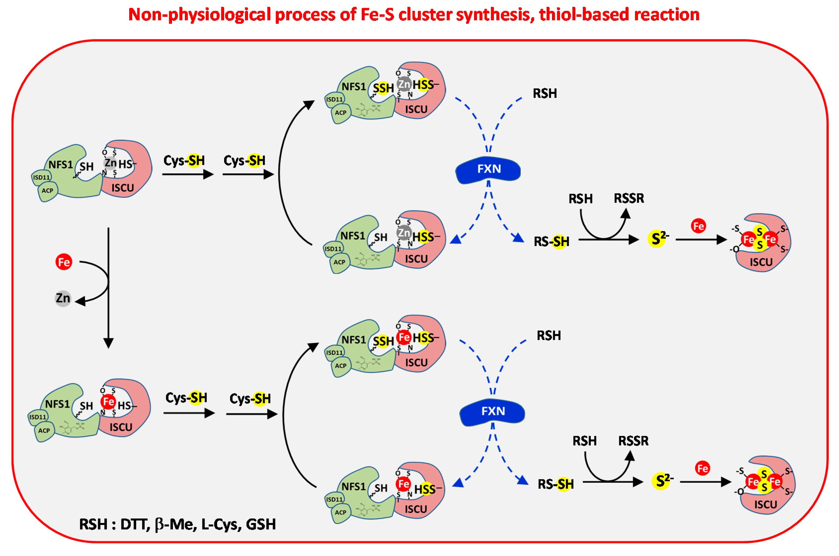 Inorganics 08 00055 g011 Inorganics 08 00055 g011
