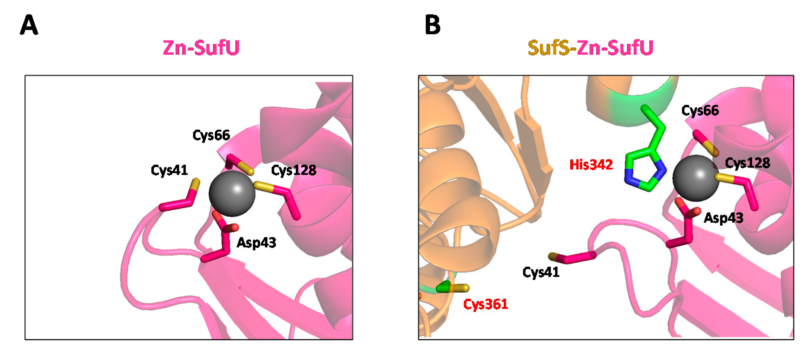Inorganics 08 00055 g012 Inorganics 08 00055 g012