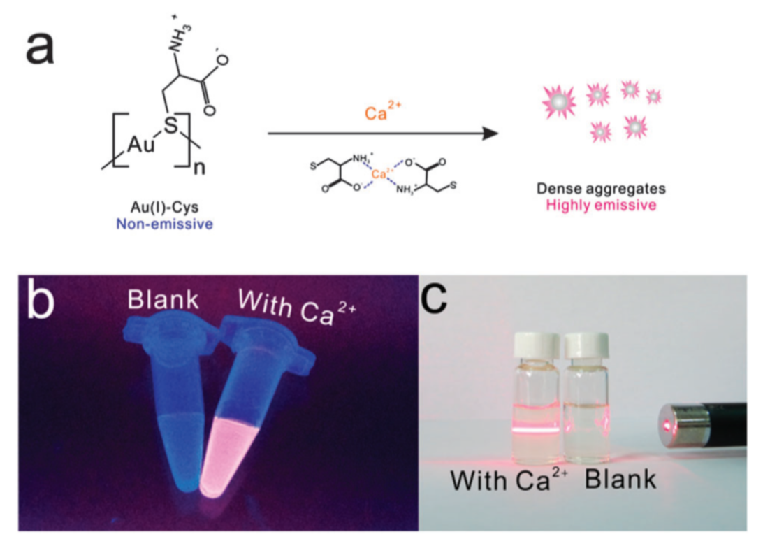 Inorganics 09 00032 g038 Inorganics 09 00032 g038