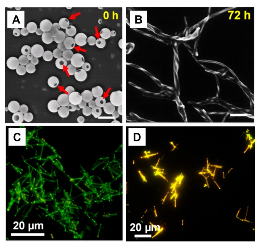 Inorganics 09 00032 g044 Inorganics 09 00032 g044