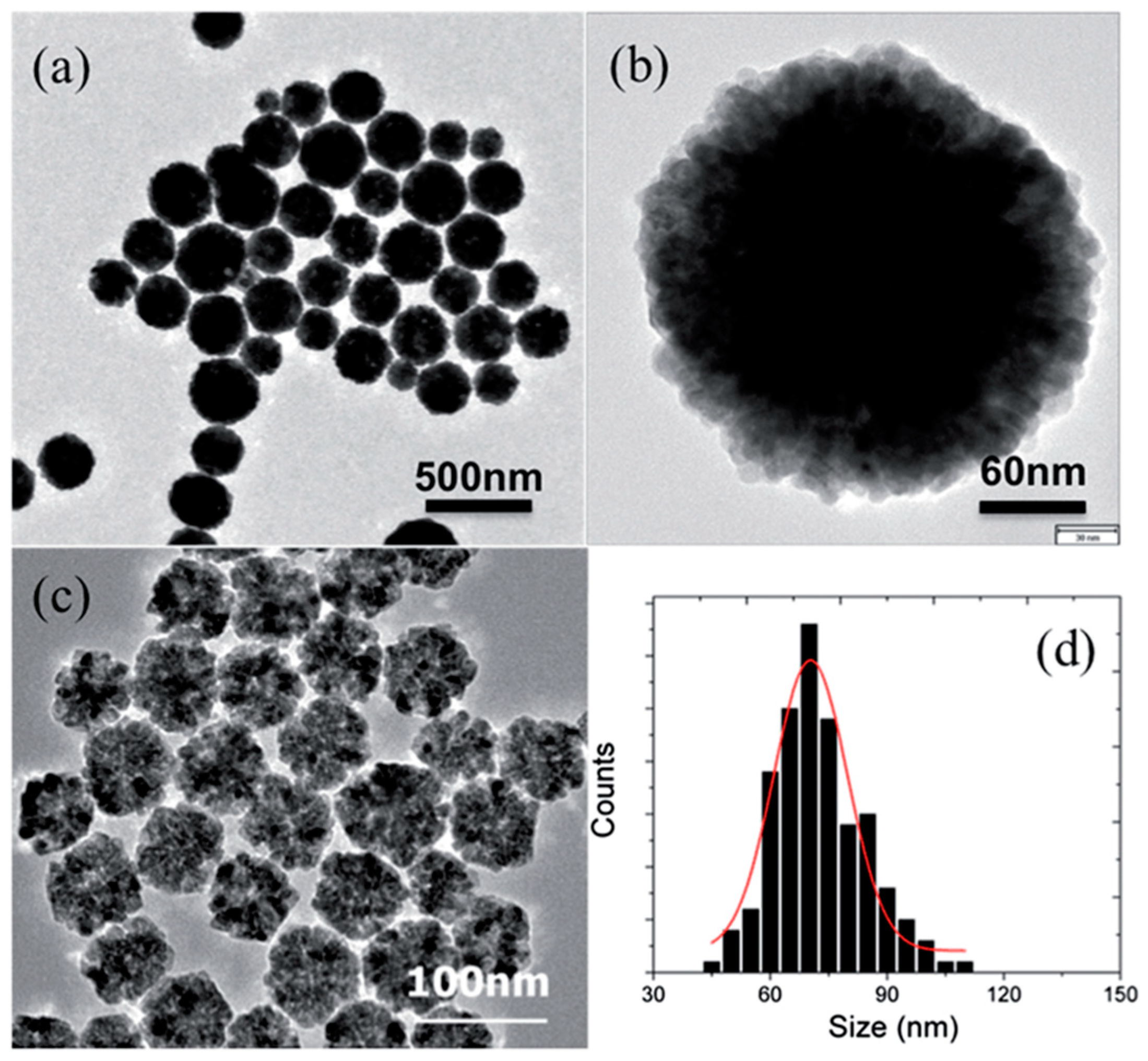 Inorganics 09 00040 g004