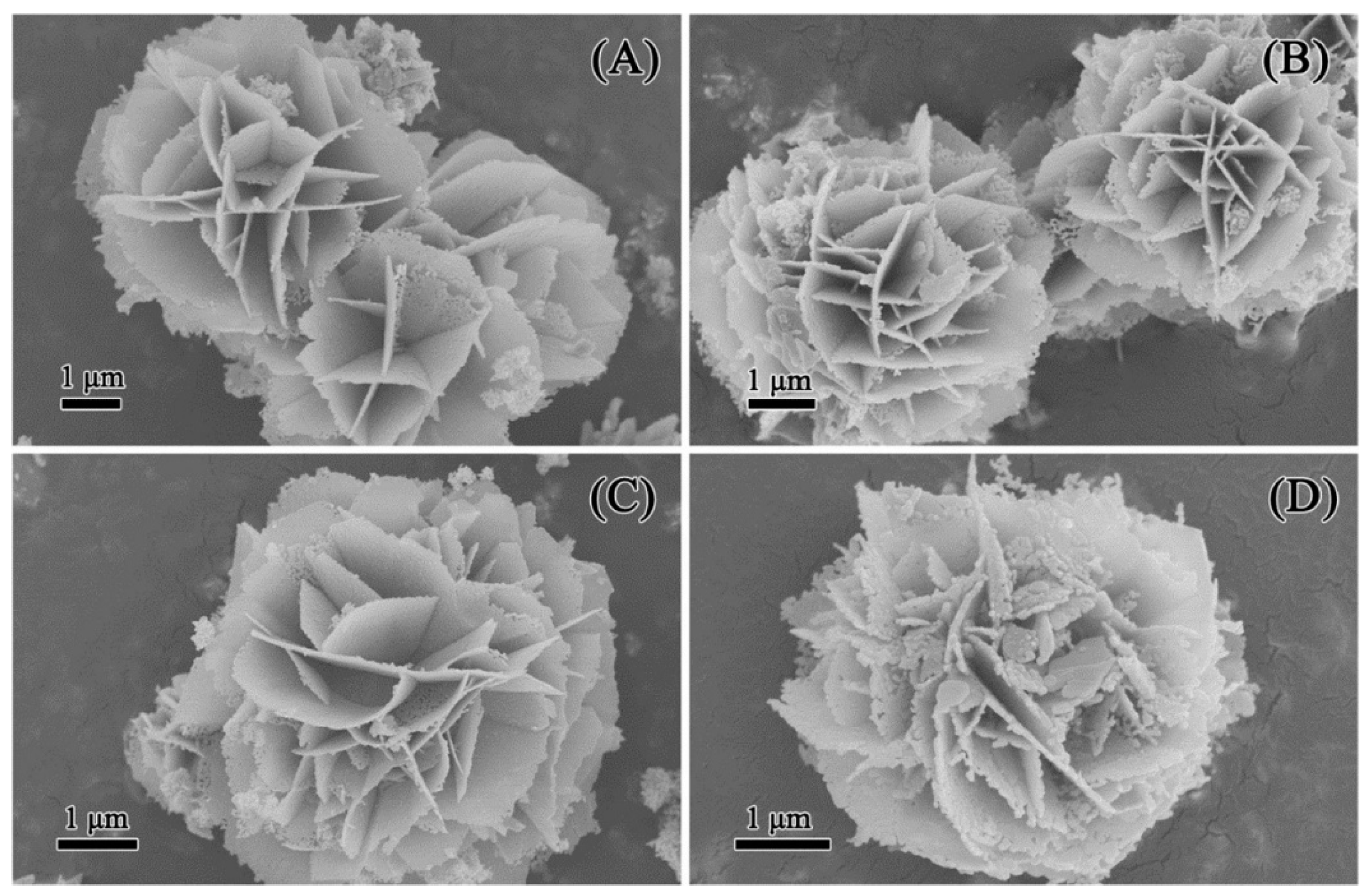 Inorganics 09 00040 g007