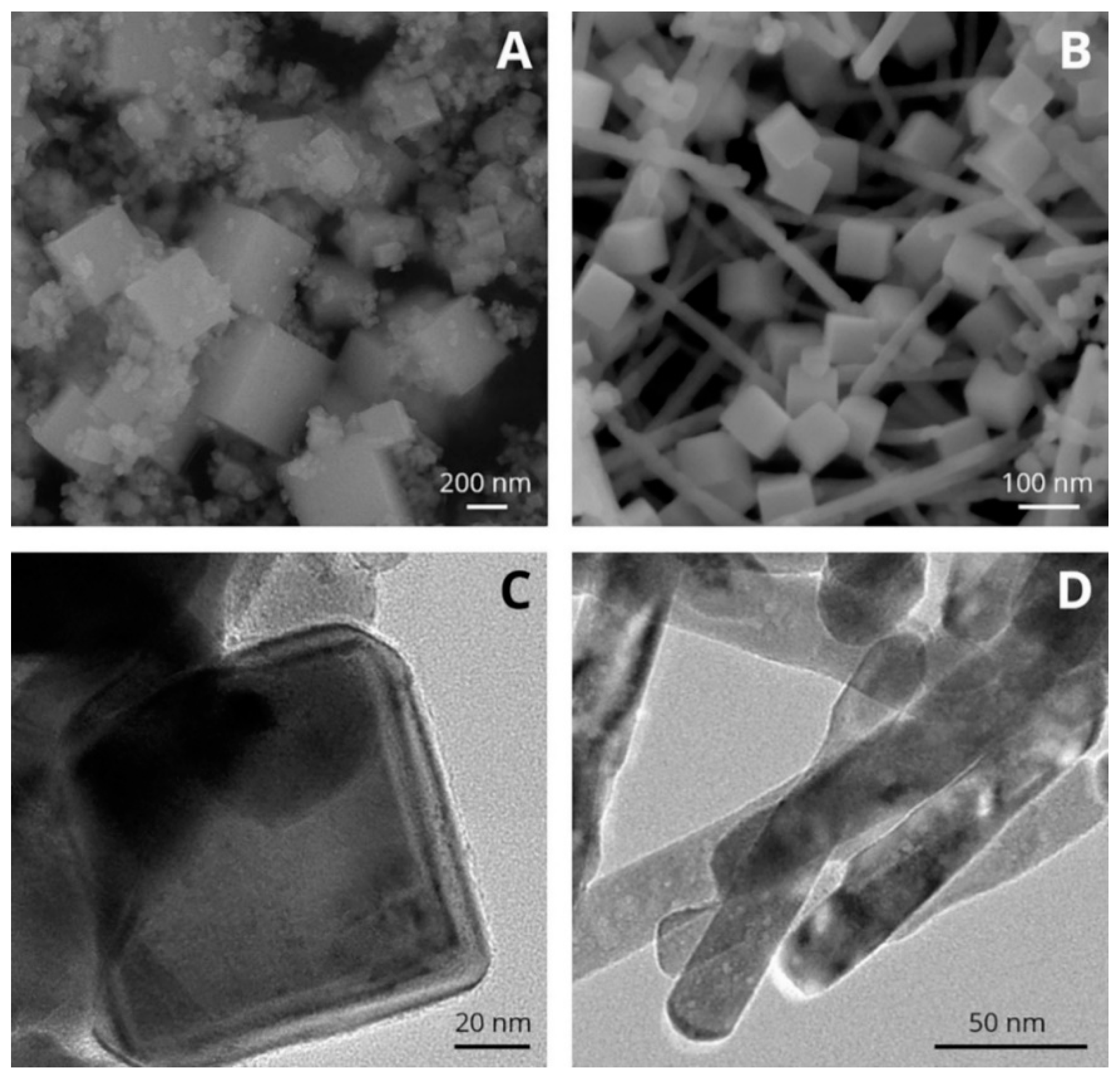 Inorganics 09 00040 g013