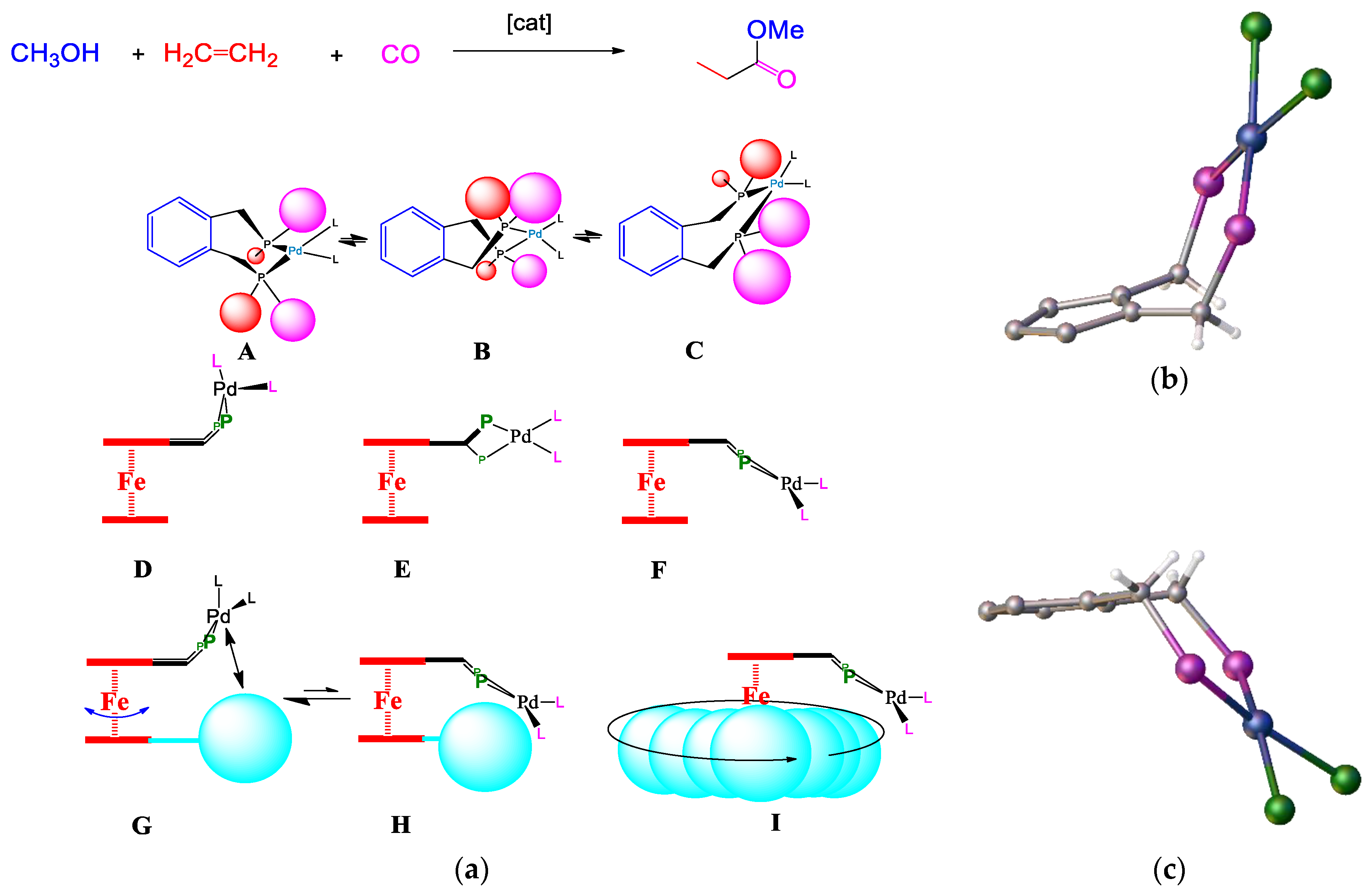 Inorganics 09 00057 g015
