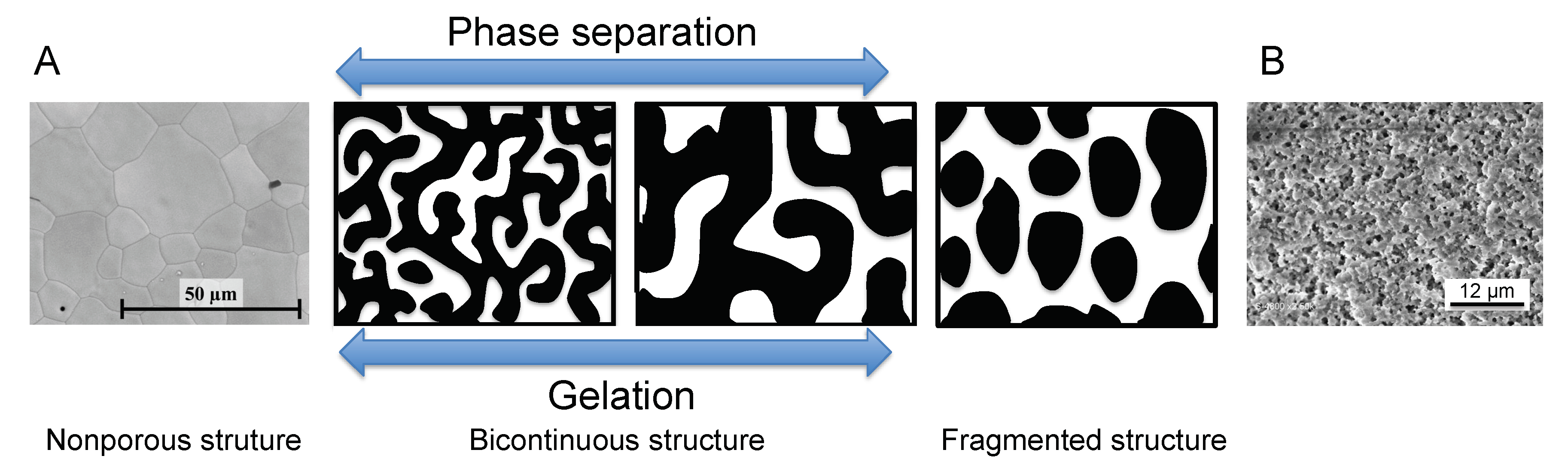 Inorganics 09 00058 g004
