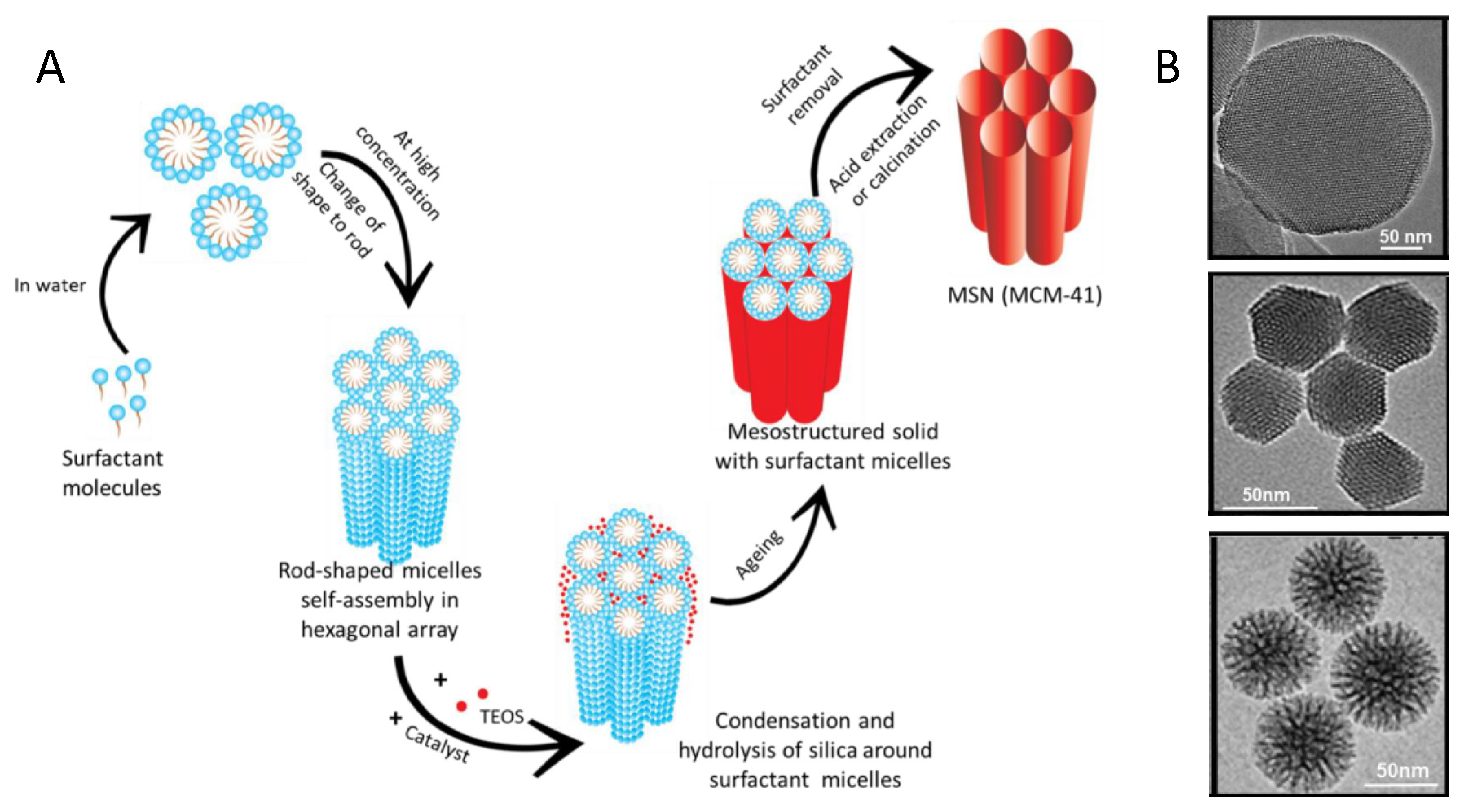Inorganics 09 00058 g005