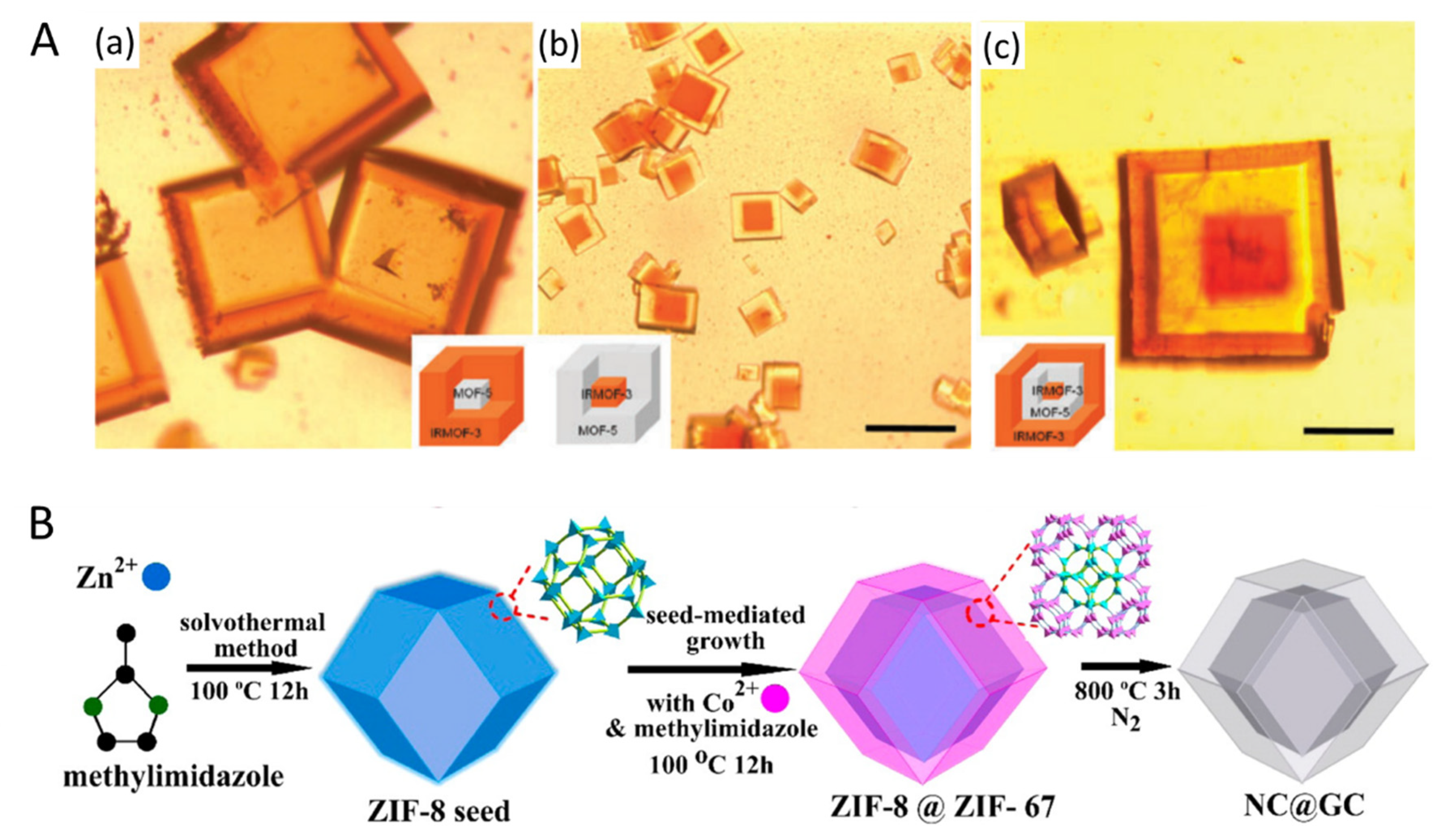 Inorganics 09 00058 g011