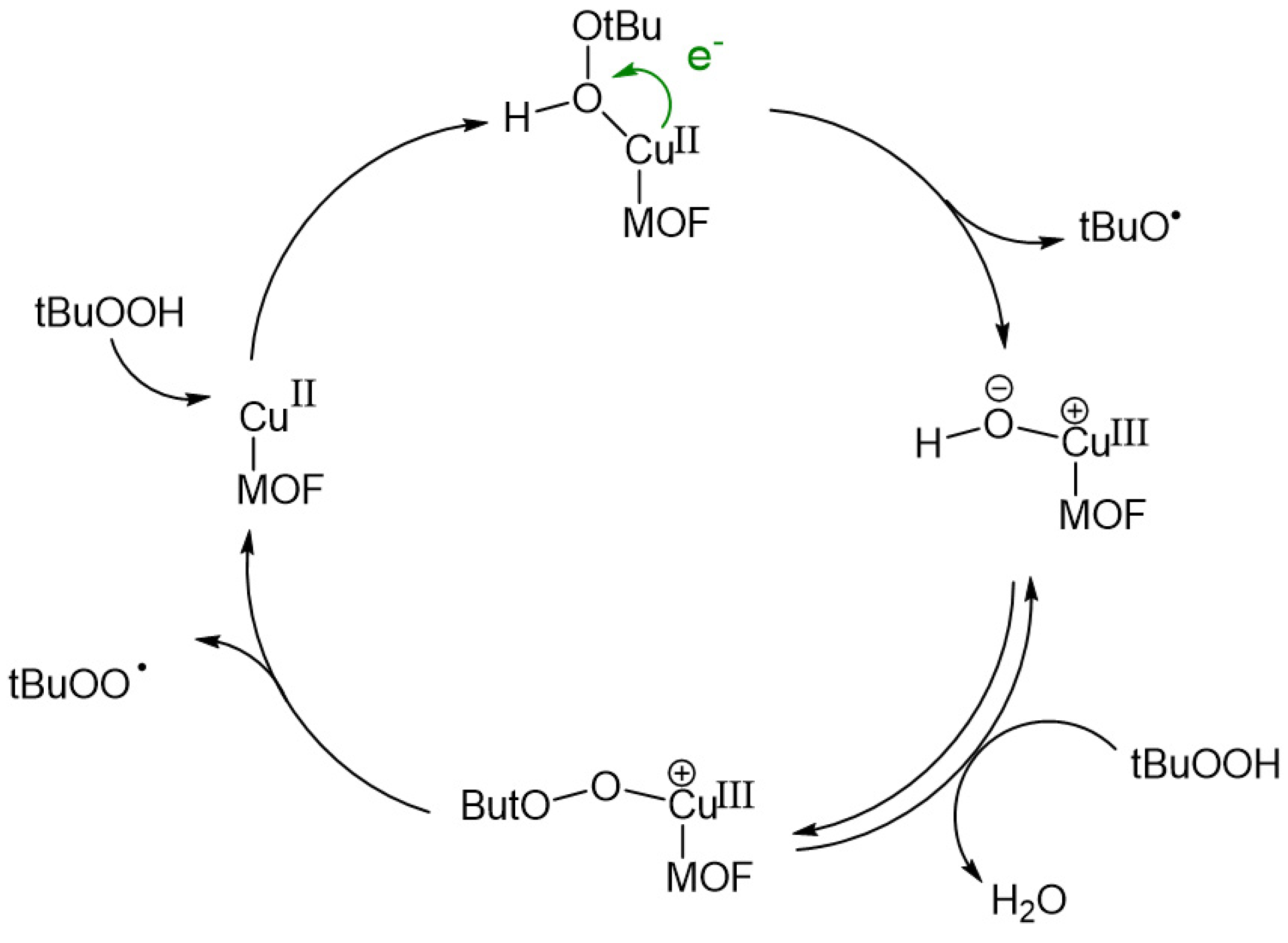 Inorganics 09 00081 g004
