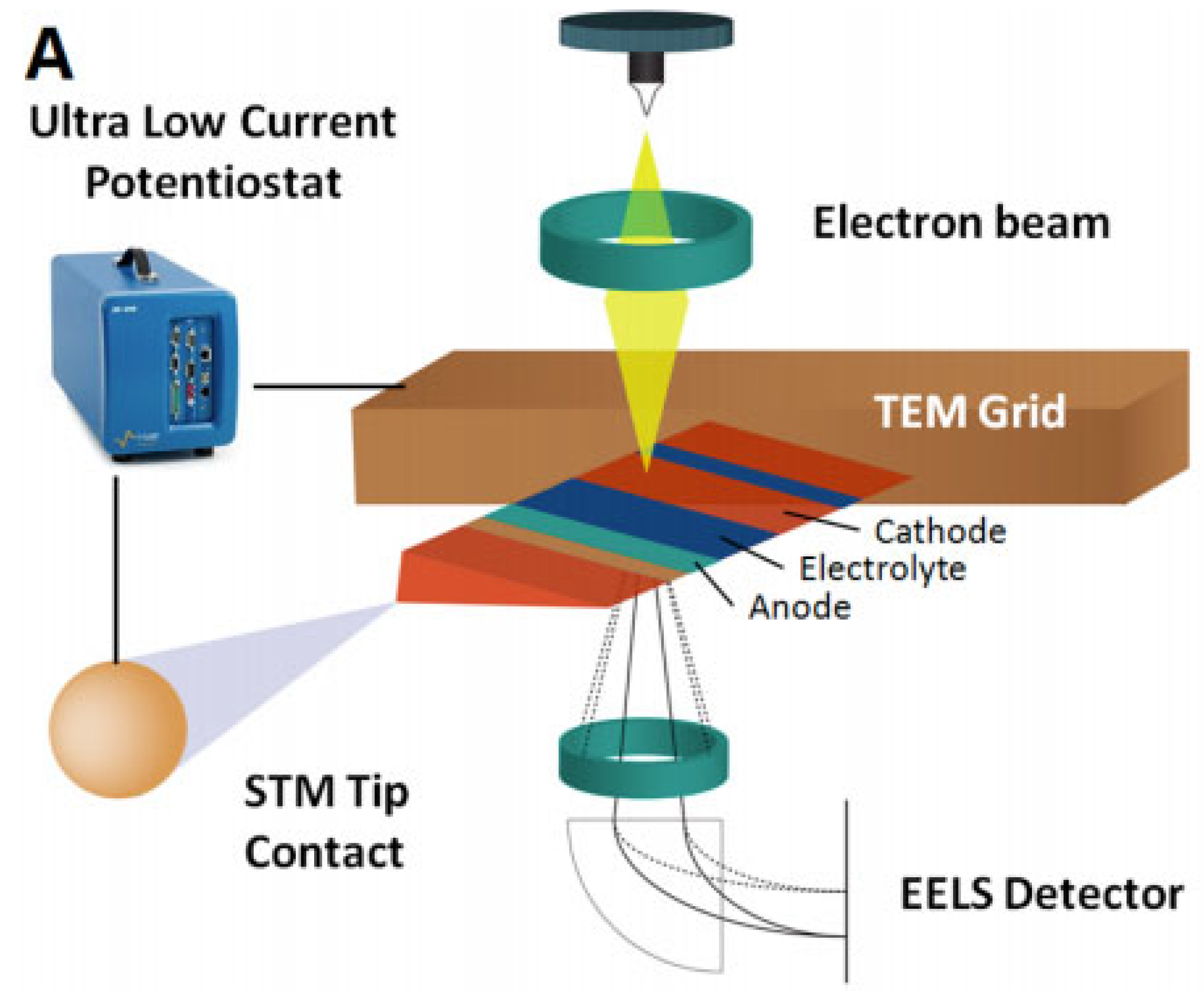Inorganics 09 00085 g005