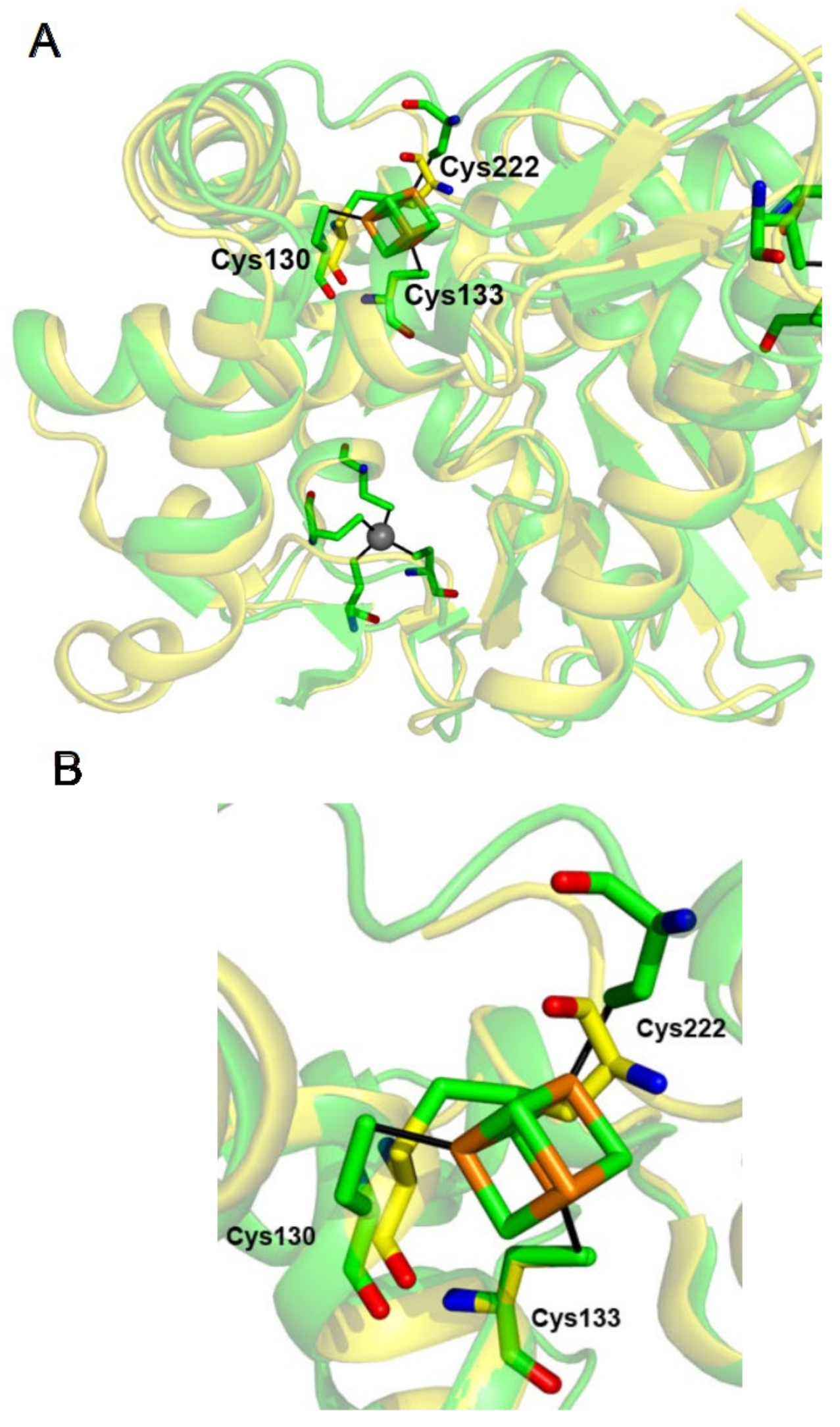Inorganics 10 00002 g002