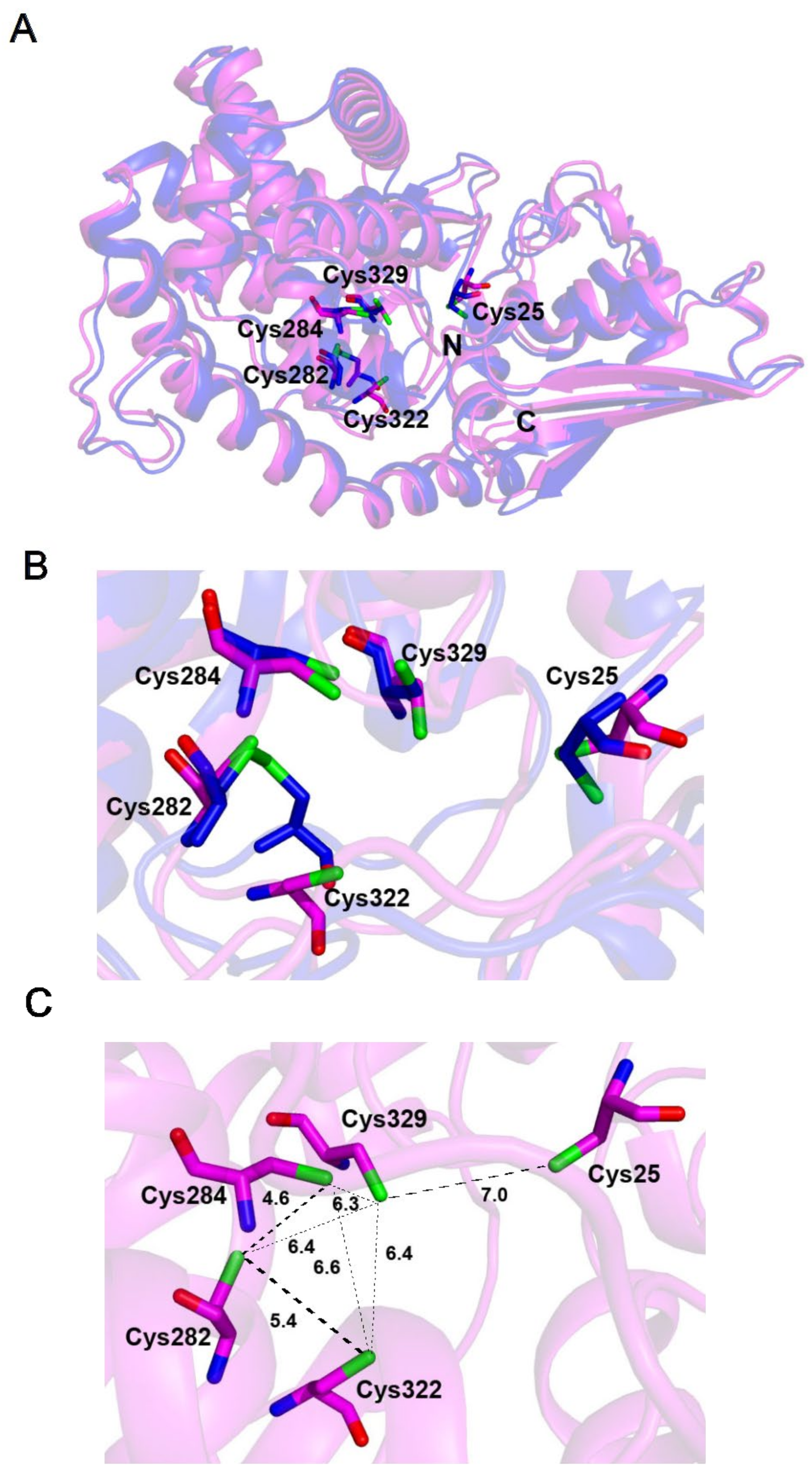 Inorganics 10 00002 g005