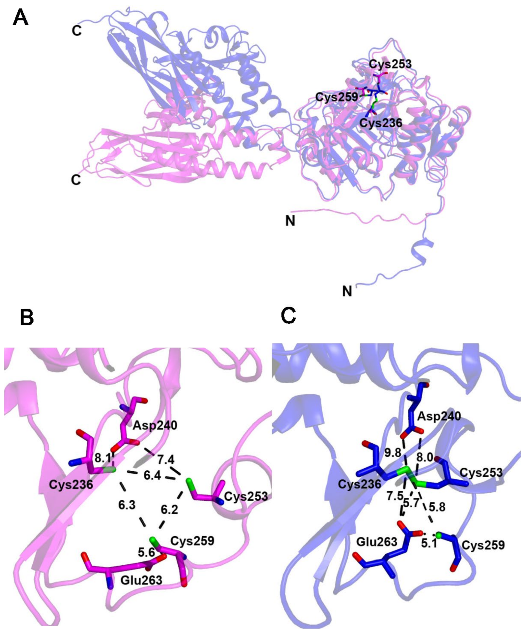 Inorganics 10 00002 g006
