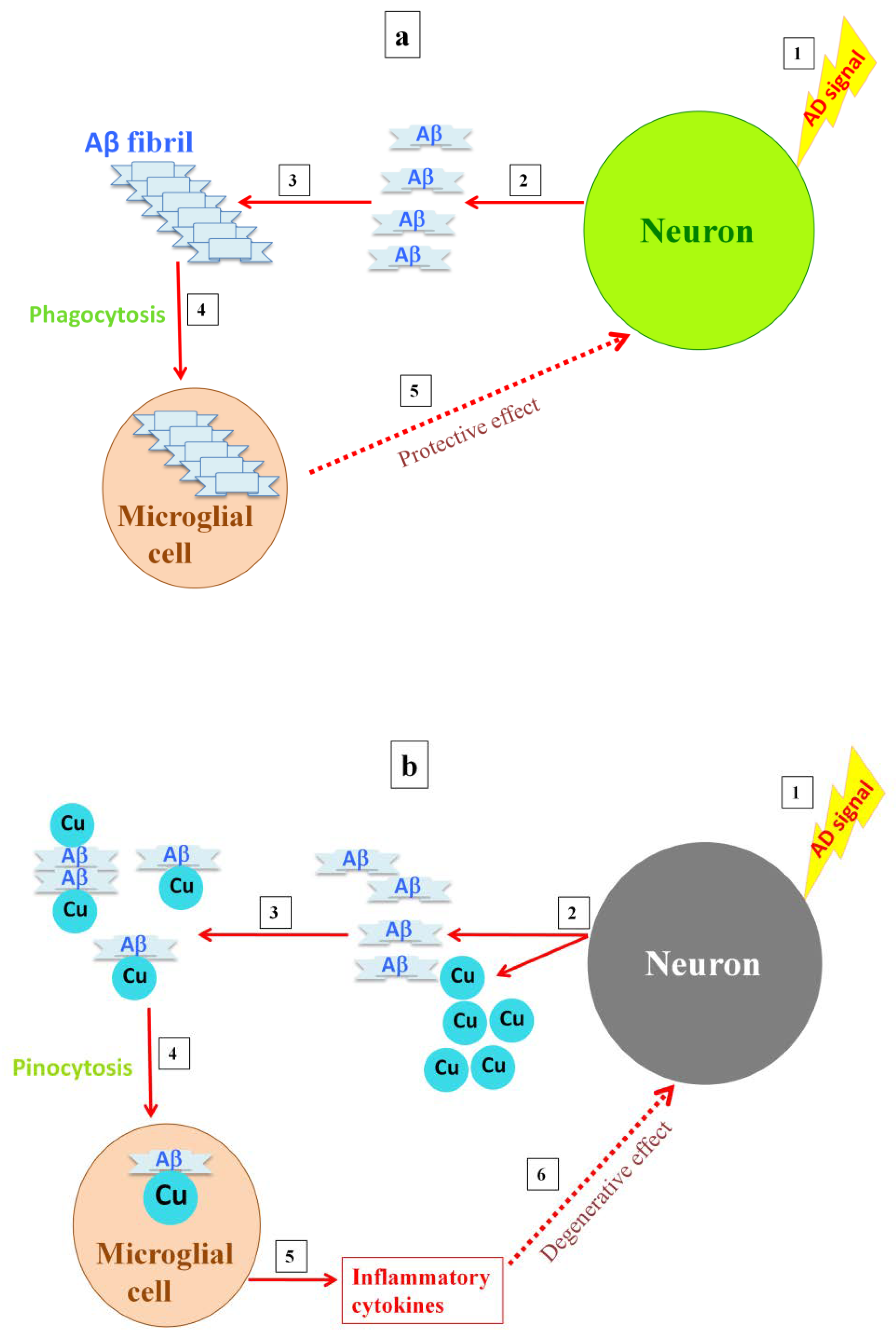 Inorganics 10 00006 g001