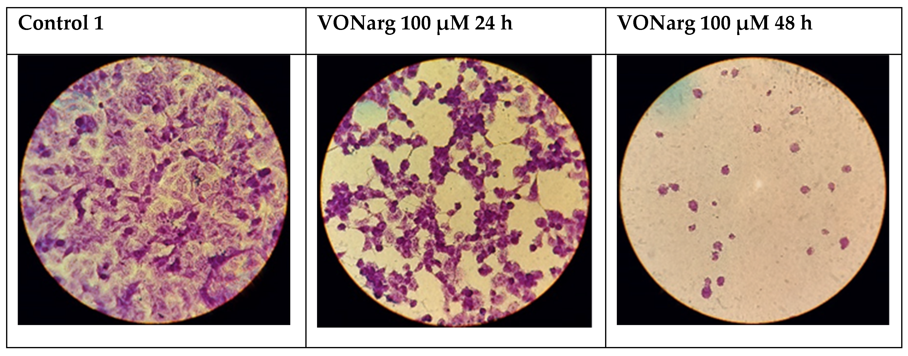 Inorganics 10 00013 g005