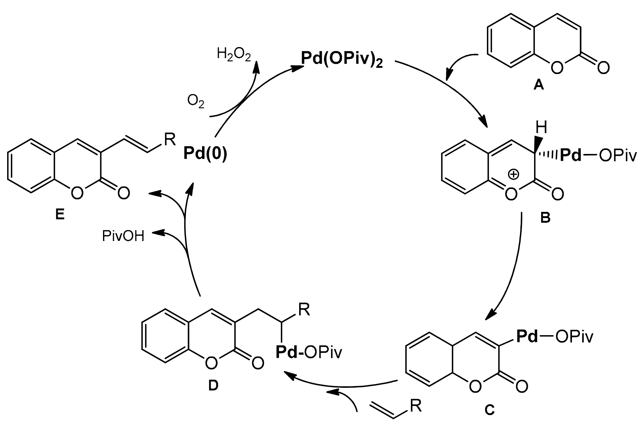 Inorganics 10 00023 sch026
