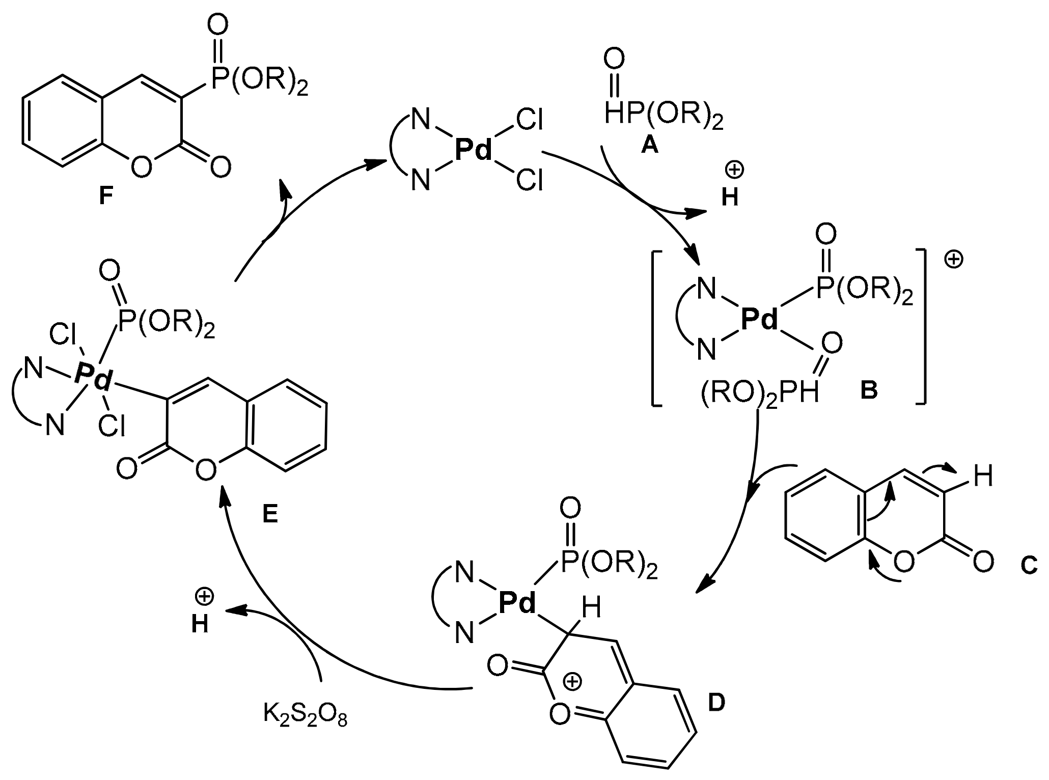 Inorganics 10 00023 sch031