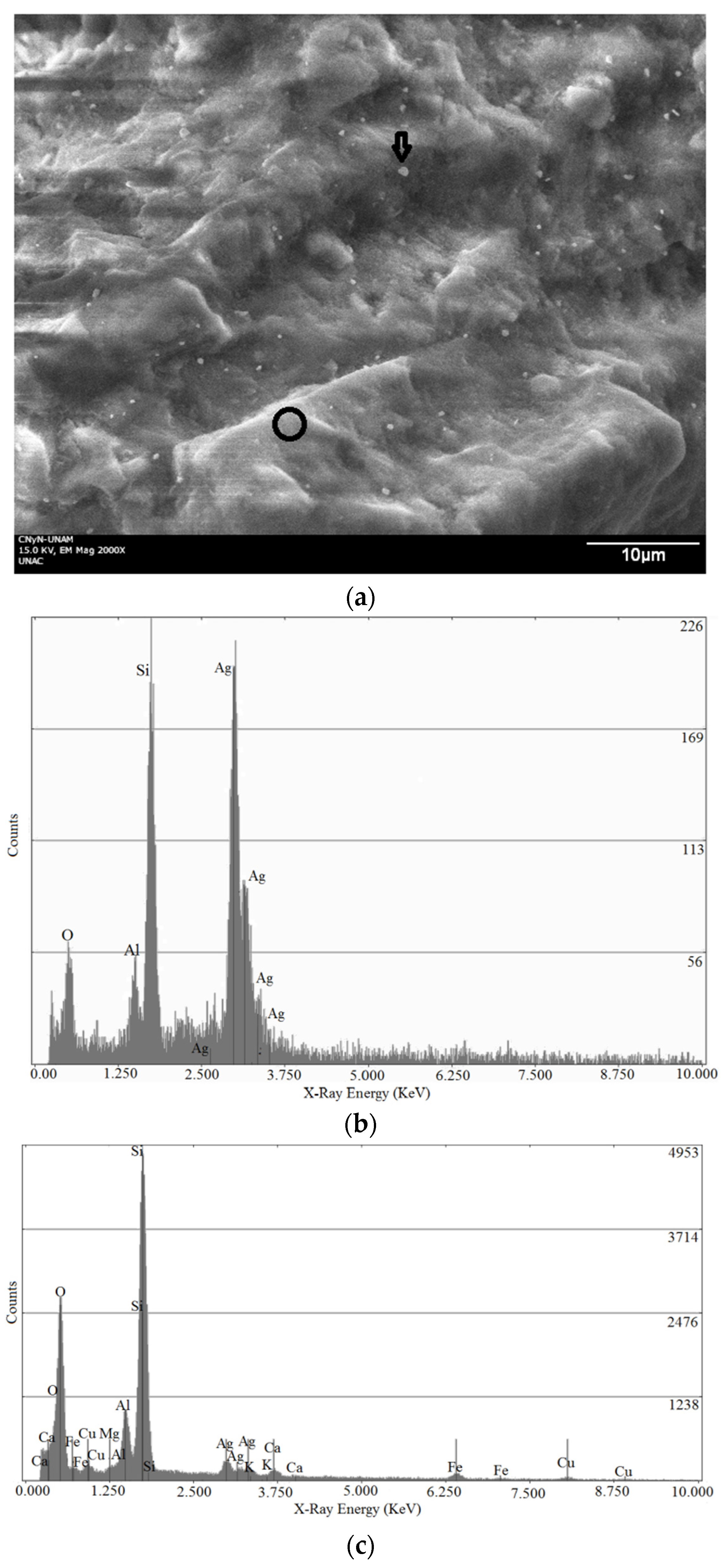 Inorganics 10 00034 g005