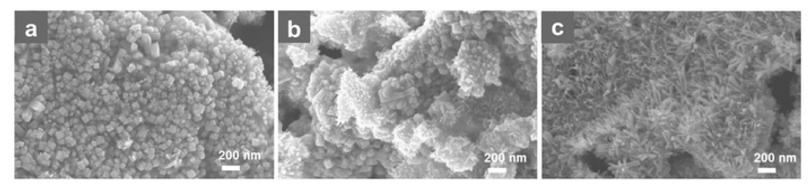 Inorganics 10 00115 g010