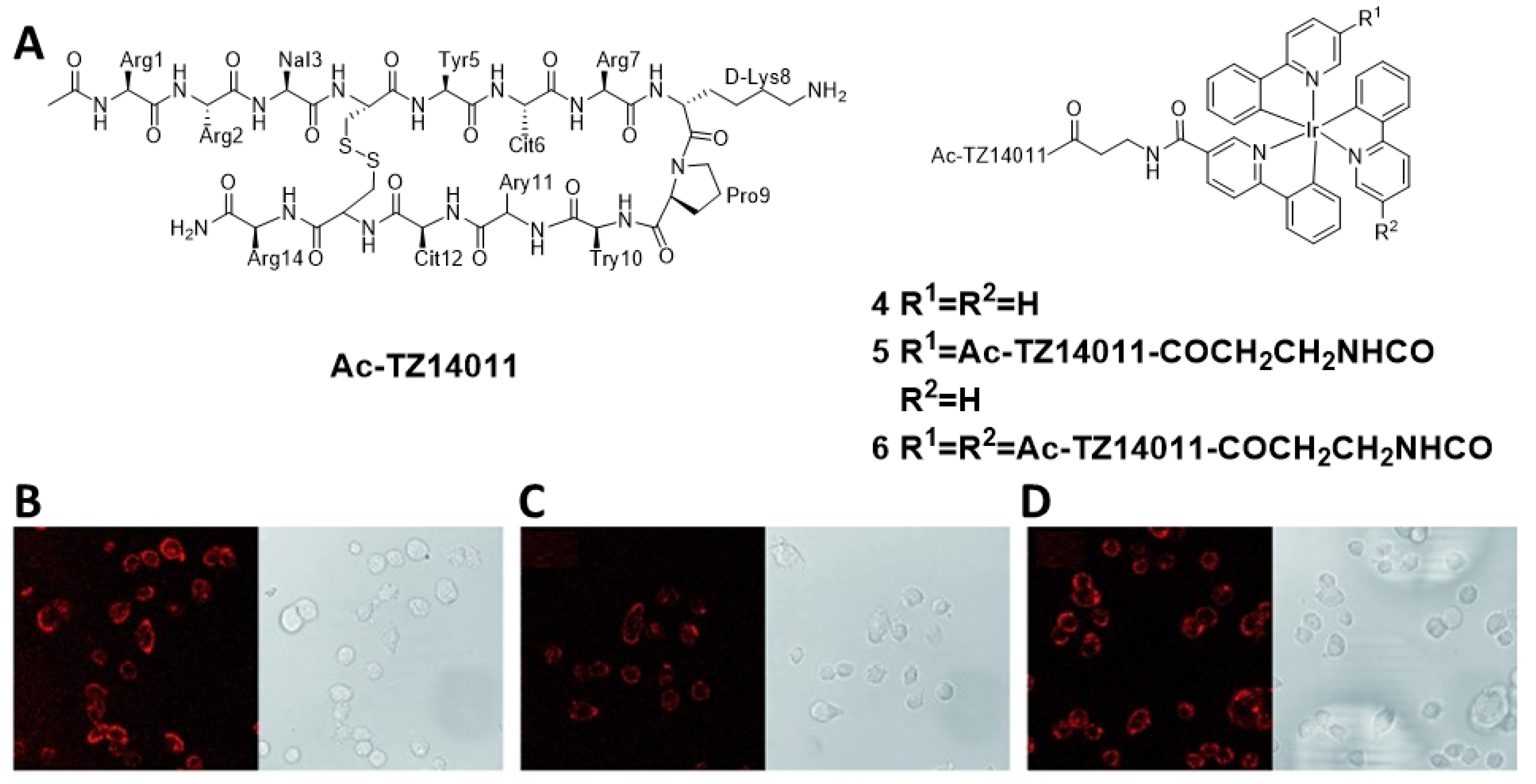 Inorganics 10 00178 g005
