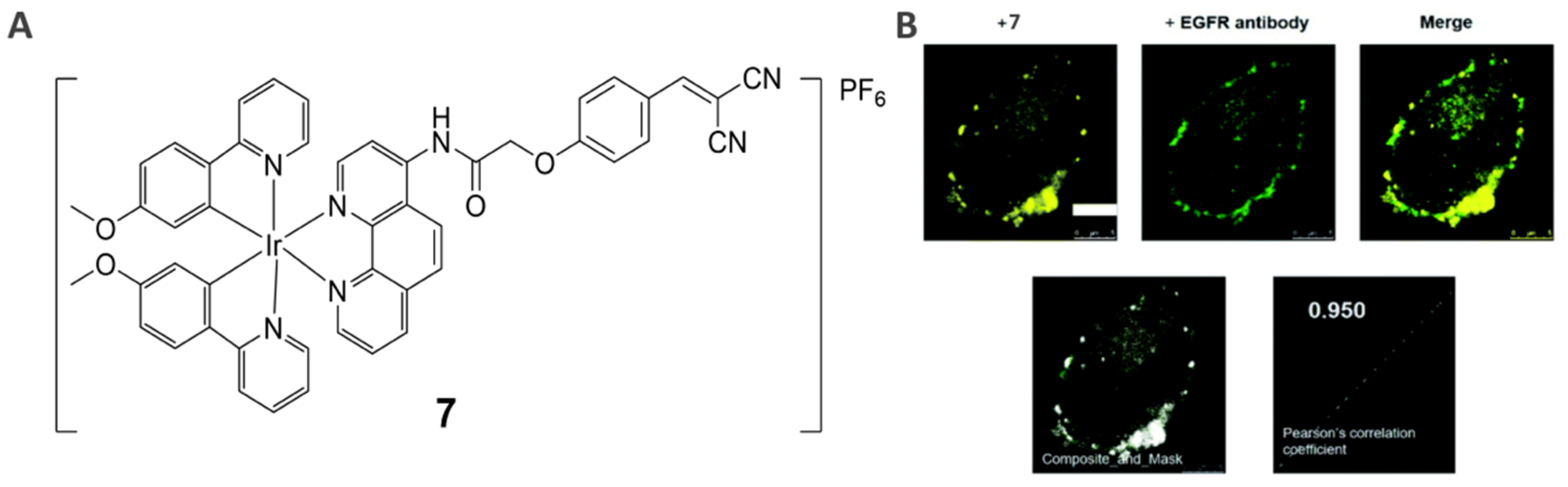 Inorganics 10 00178 g006