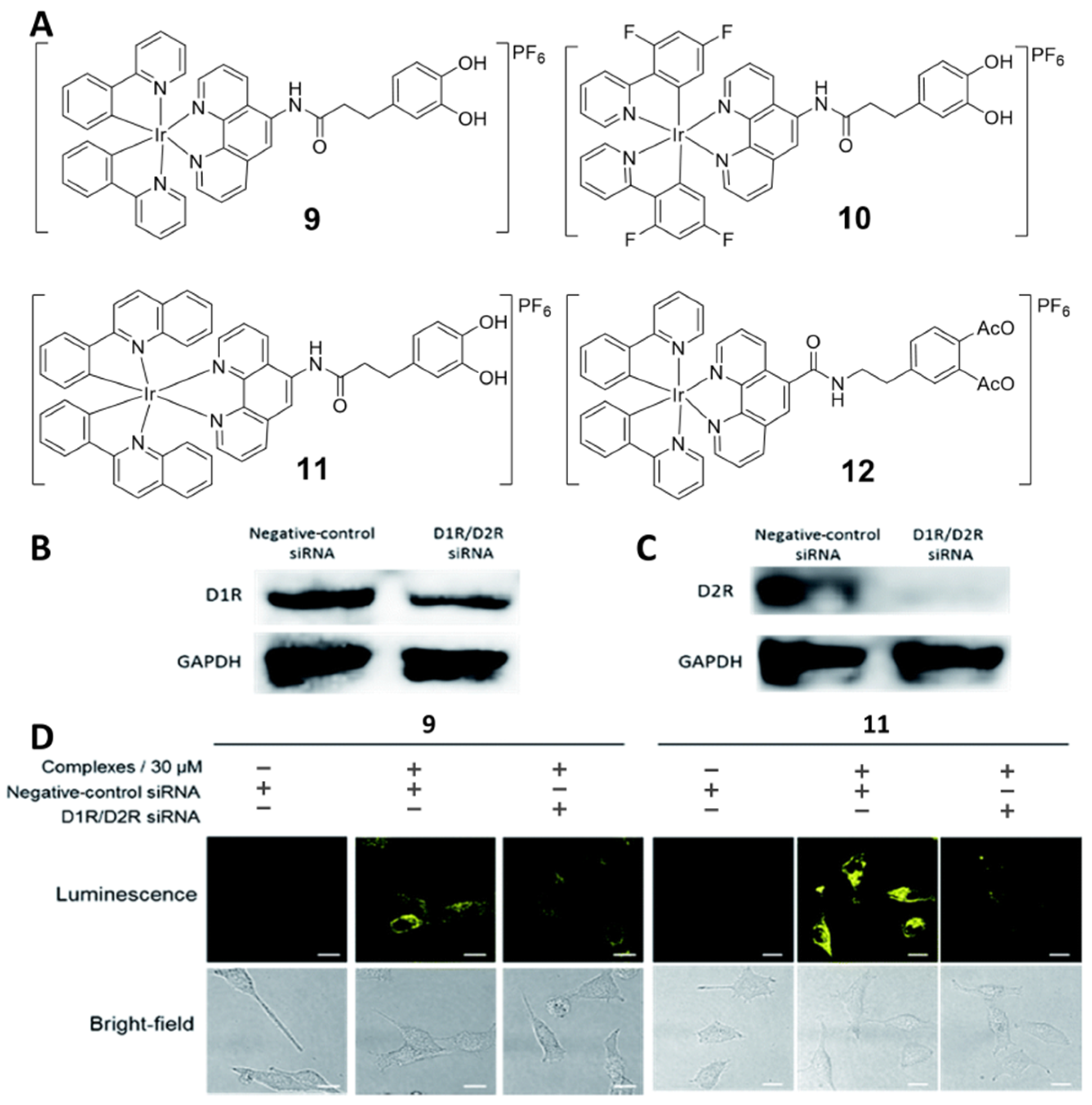 Inorganics 10 00178 g008