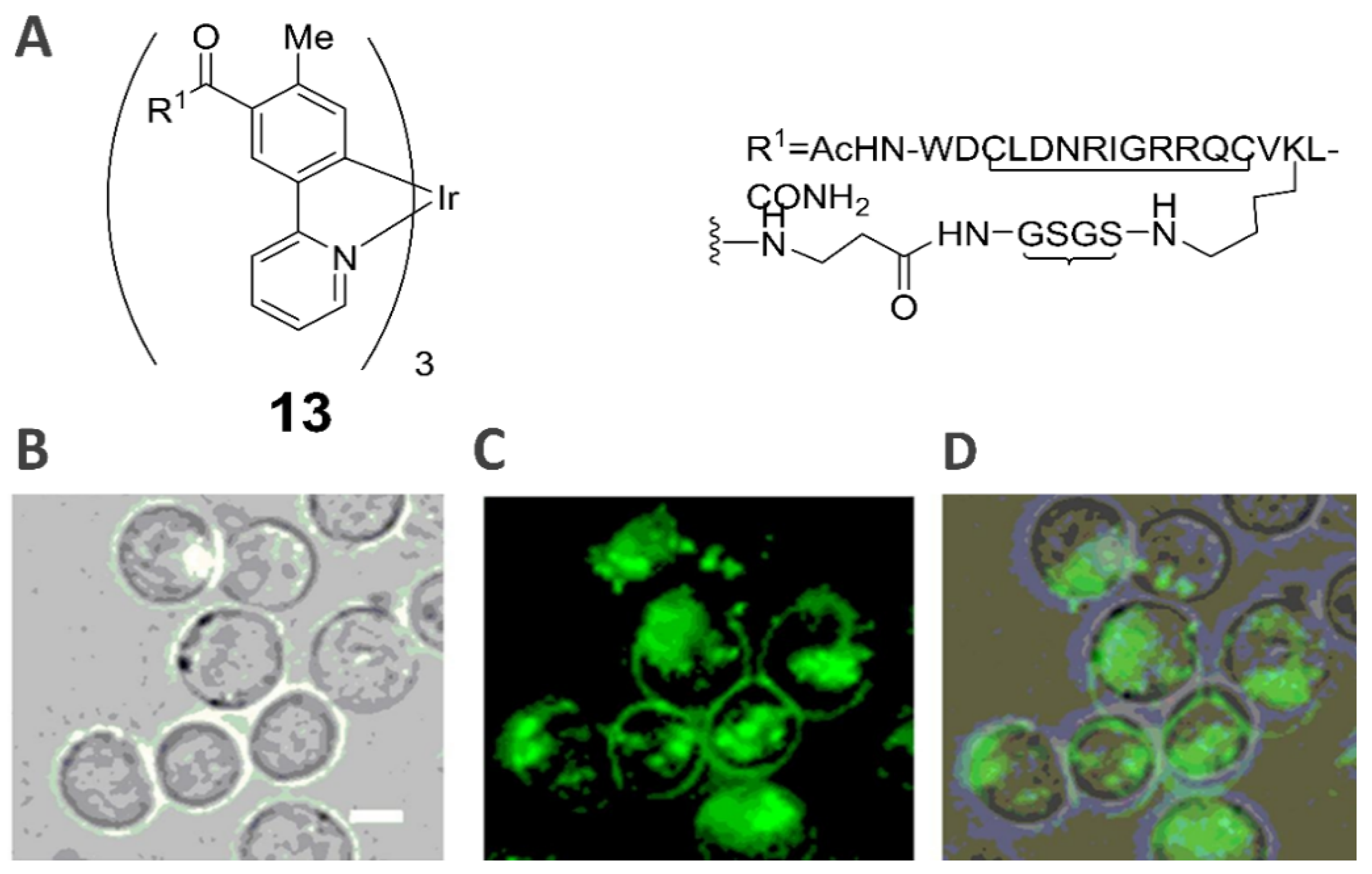 Inorganics 10 00178 g009