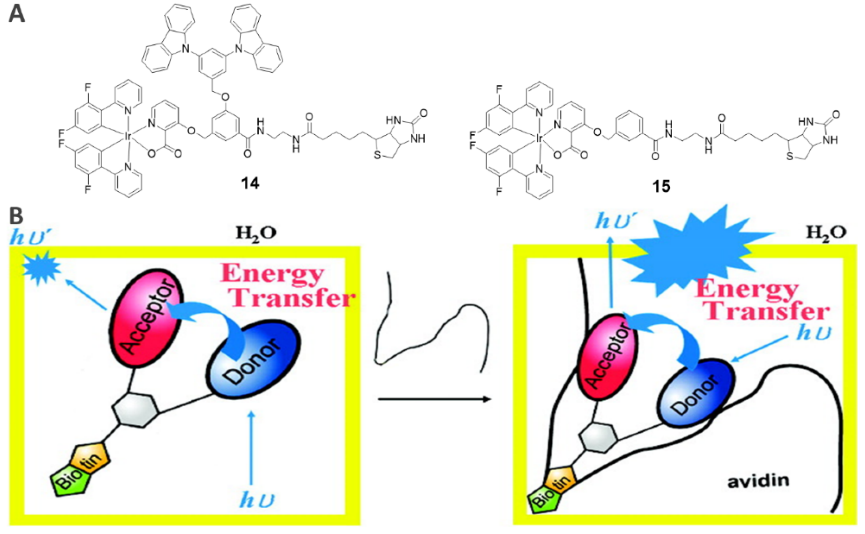 Inorganics 10 00178 g010