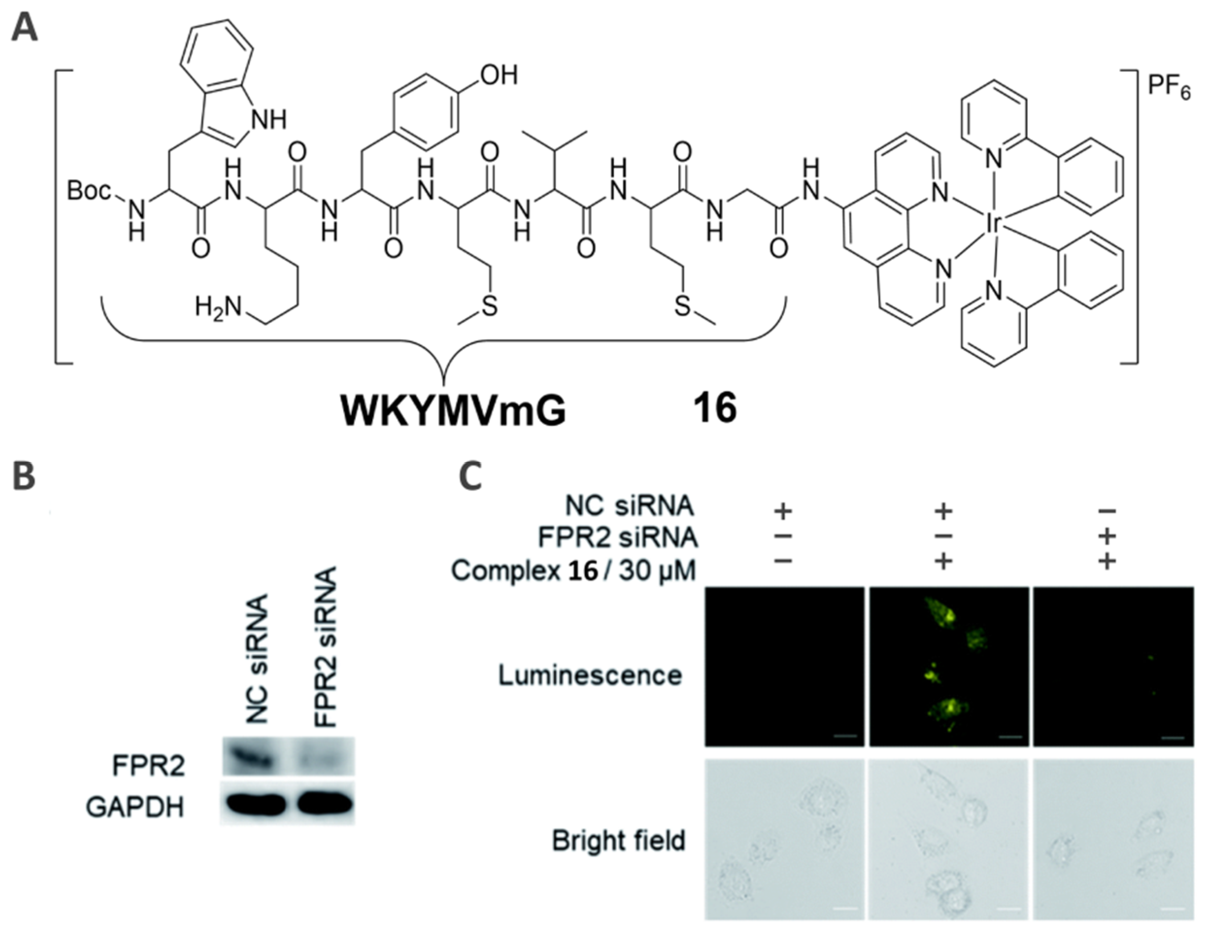 Inorganics 10 00178 g011