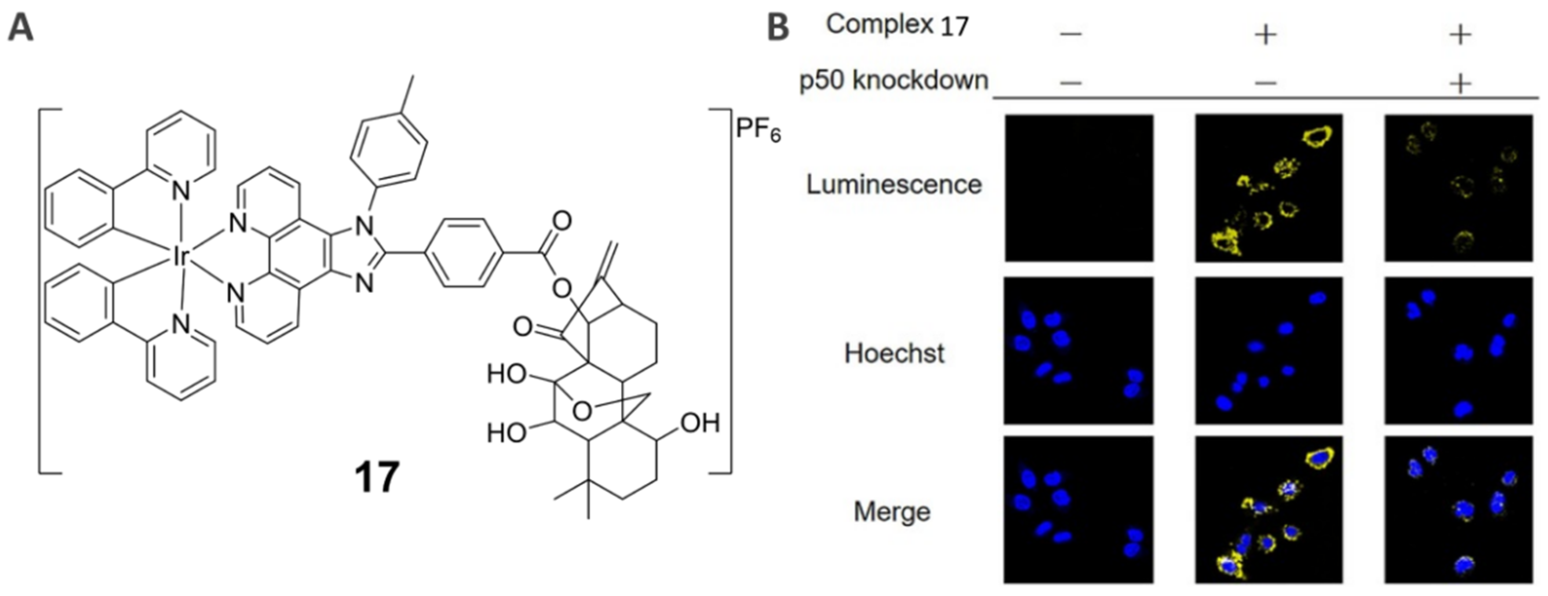 Inorganics 10 00178 g012