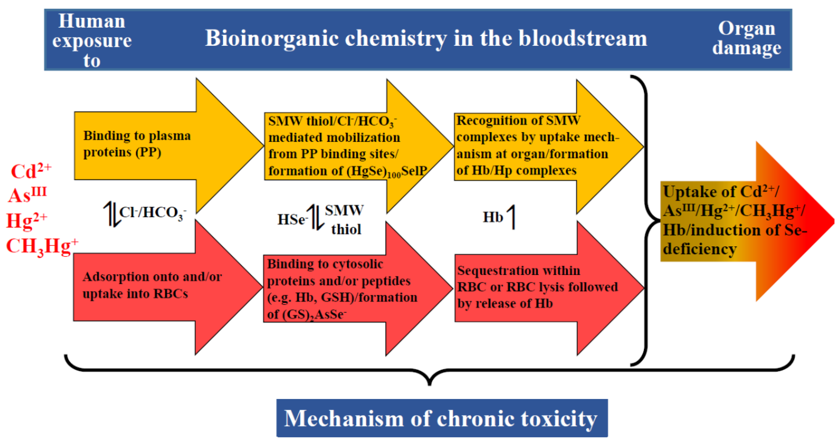 Inorganics 10 00200 g003